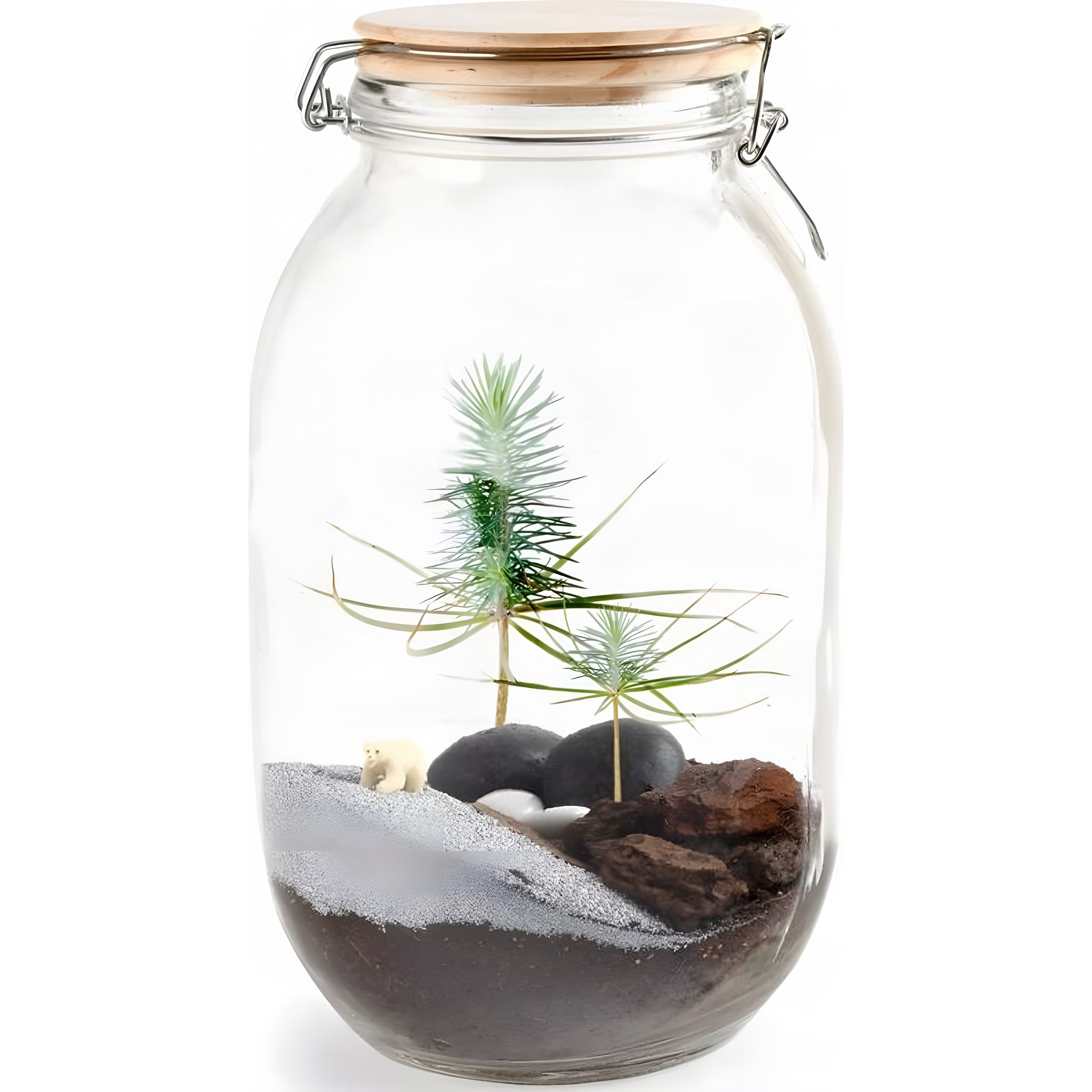 Terrarium DIY Sapin de Noël