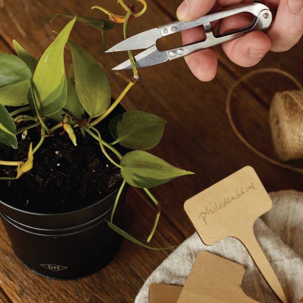 Geschenkset für Hobby Gärtner von Gentlemens Hardware