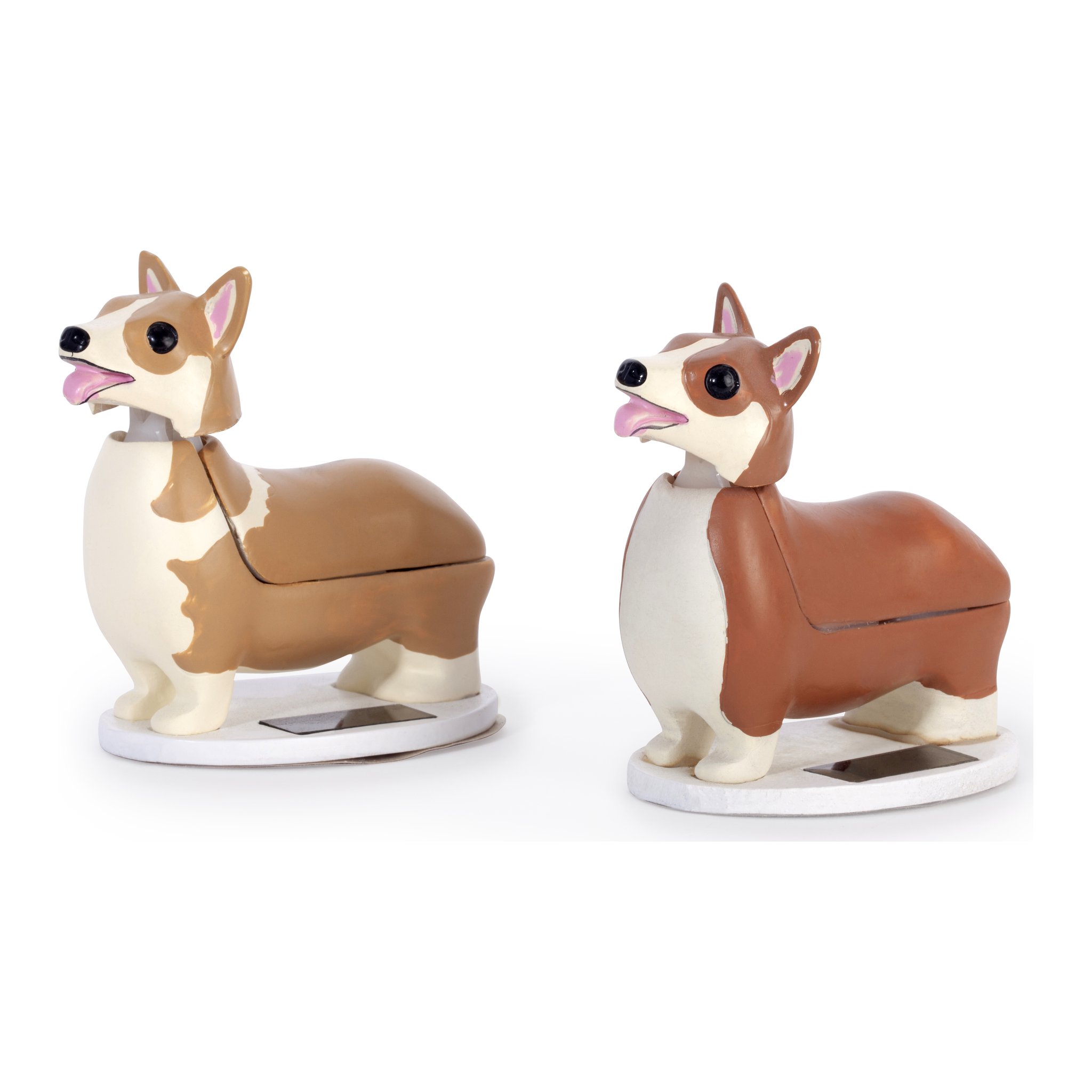 Two solar corgis in tan and brown