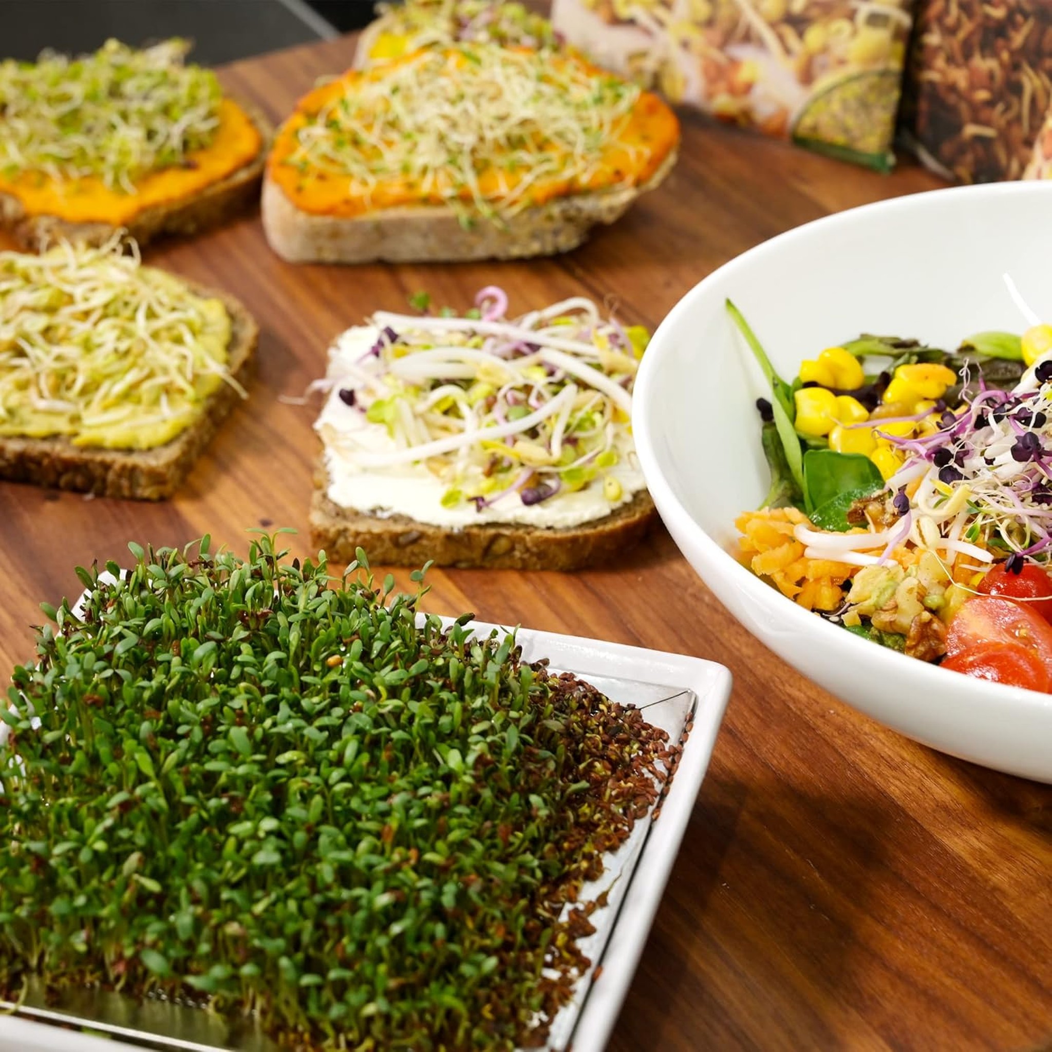 Cress Sieve on wooden table with fresh sprouts on bread and salad bowl