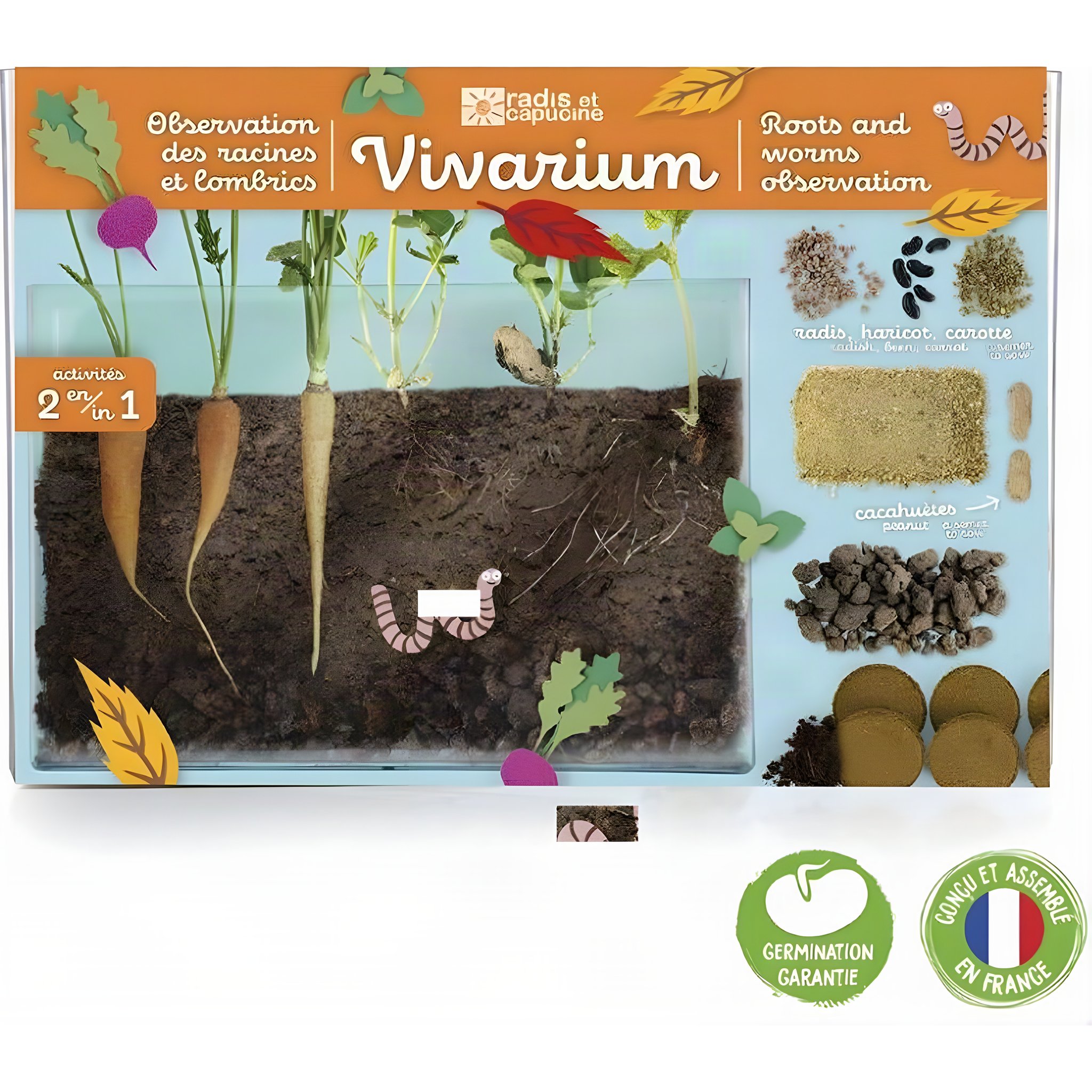 Vivarium Observation des racines et lombrics