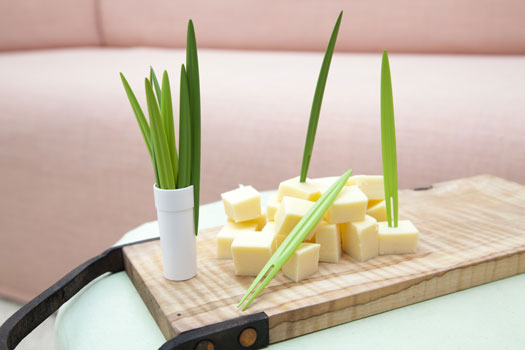 Set 10 Forchettine per Stuzzichini