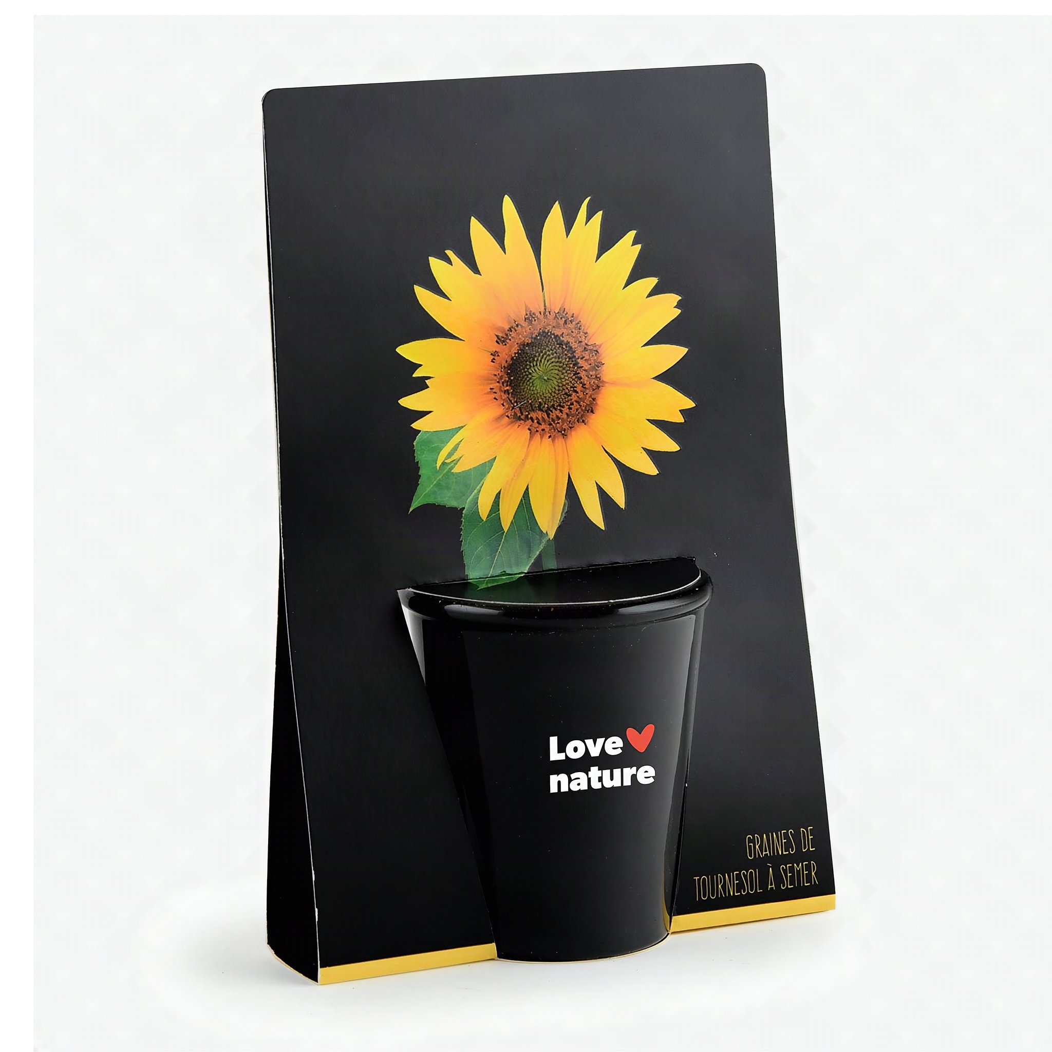 Kit di coltivazione girasole visto di lato, il vaso inserito nel cartoncino con motivo girasole
