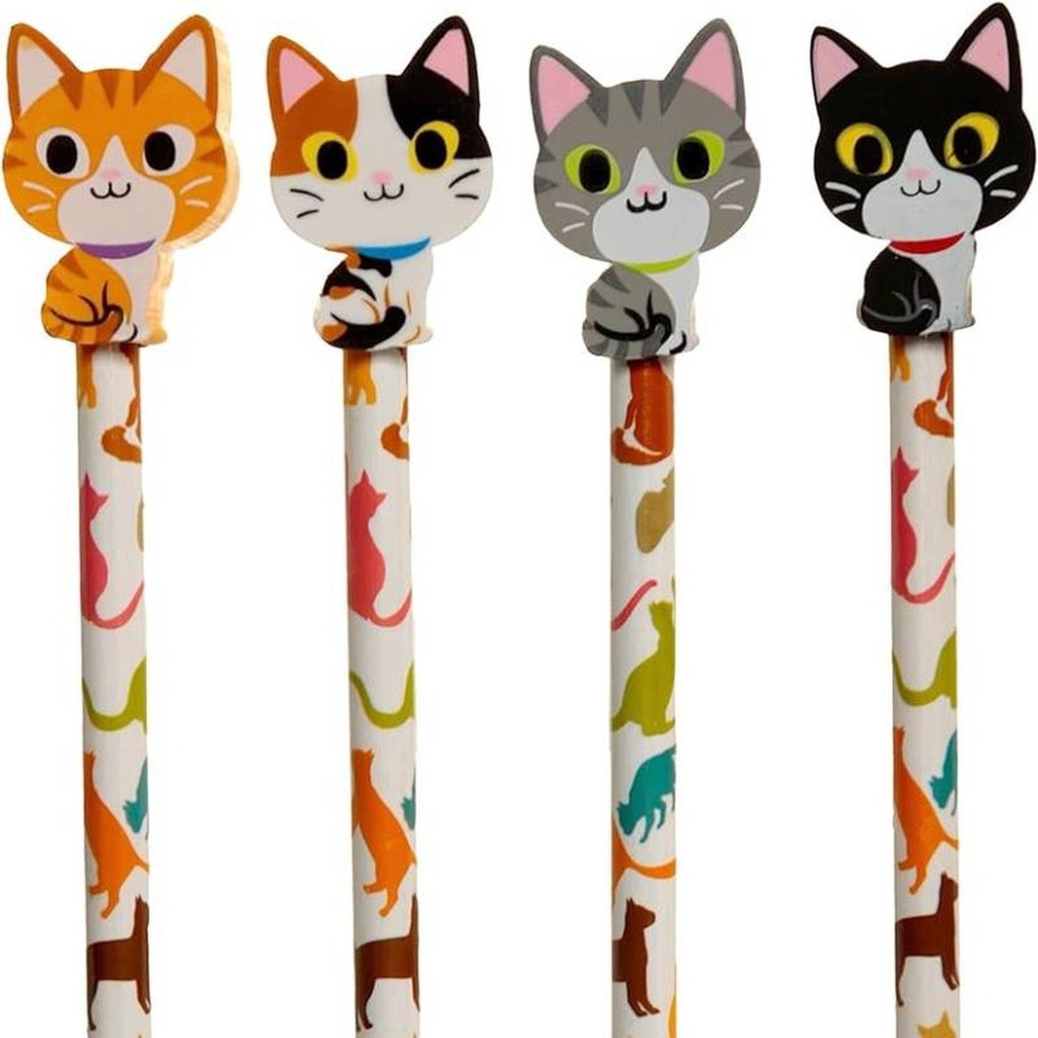 Primo piano delle quattro teste di gatto sulle matite