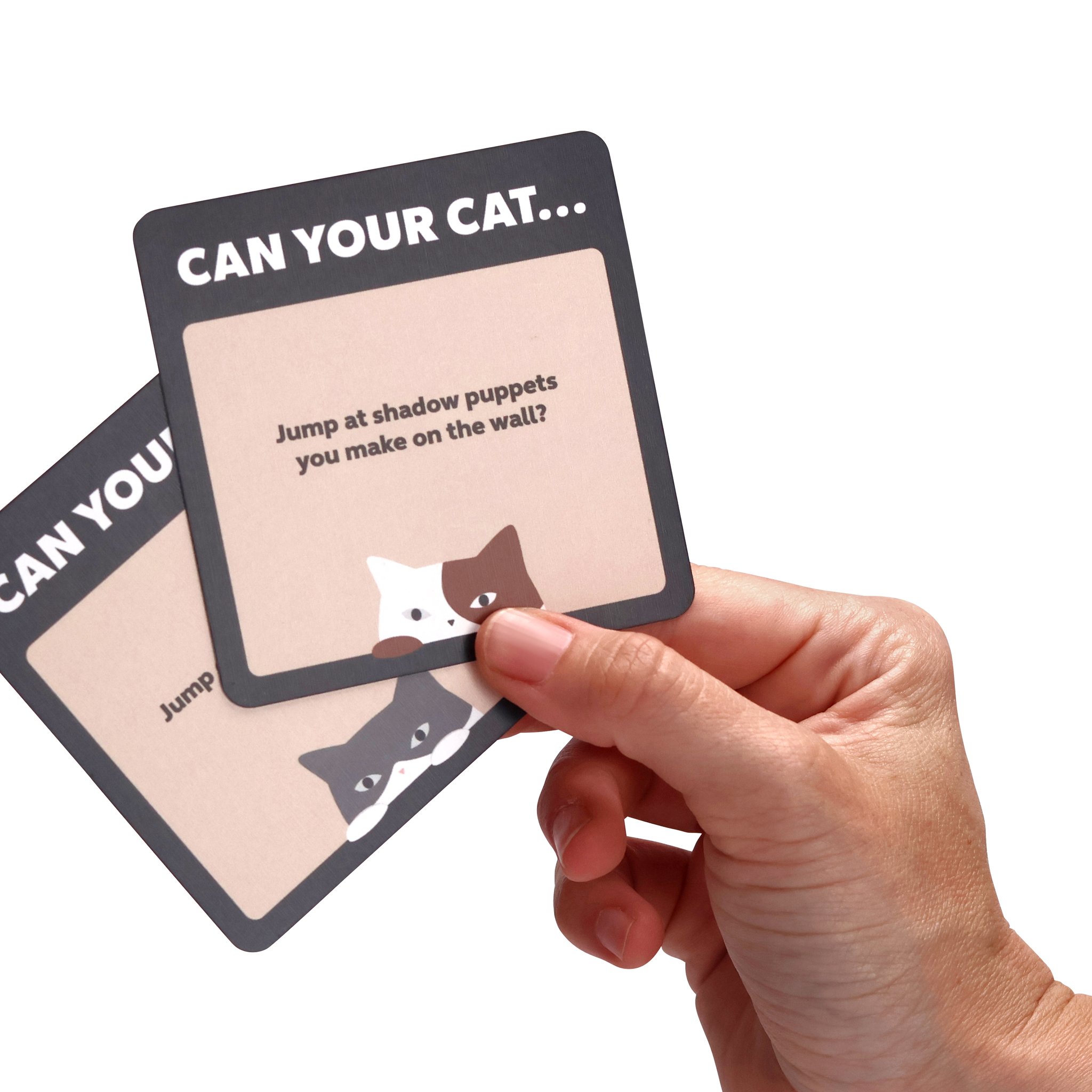 Mano che tiene due carte sfida del gioco per gatti Can Your Cat Do This?