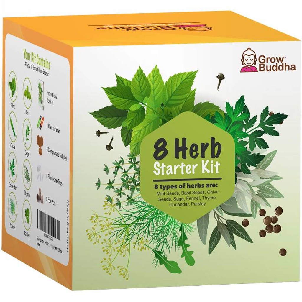 Kräuter Starterset