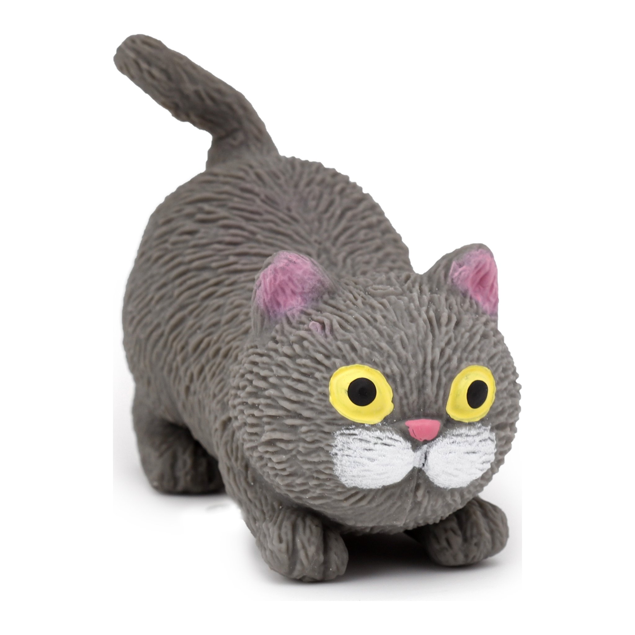 Graue Stresskatze in Spielhaltung