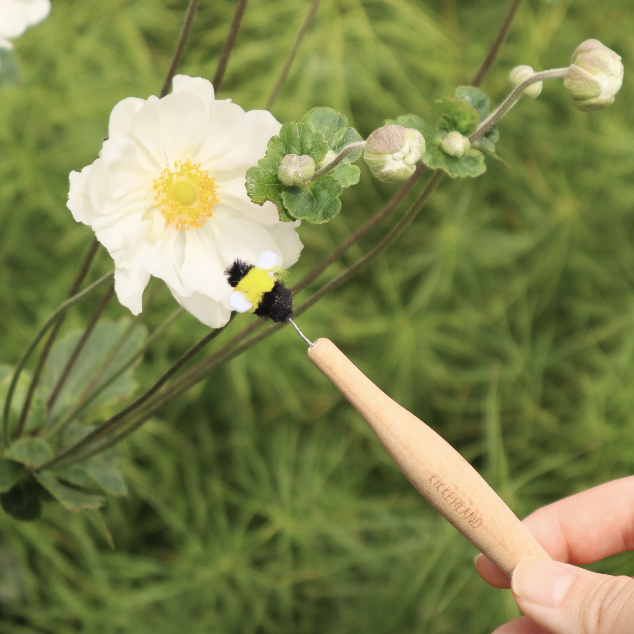 Bestäubungsstab mit Bienenpinsel an einer weissen Anemone