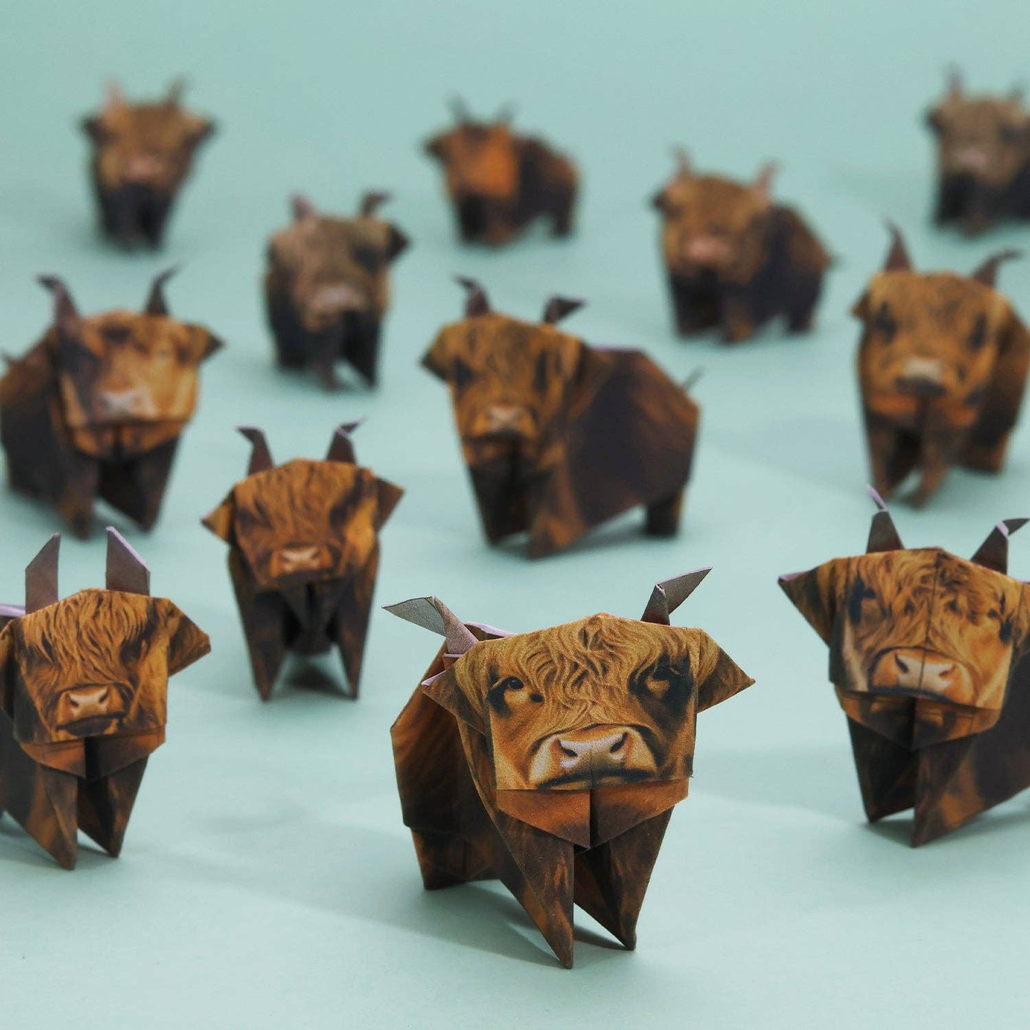 Herd of folded origami Highland cows with shaggy russet coats