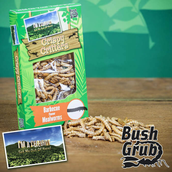 Boîte d'Insectes Comestibles