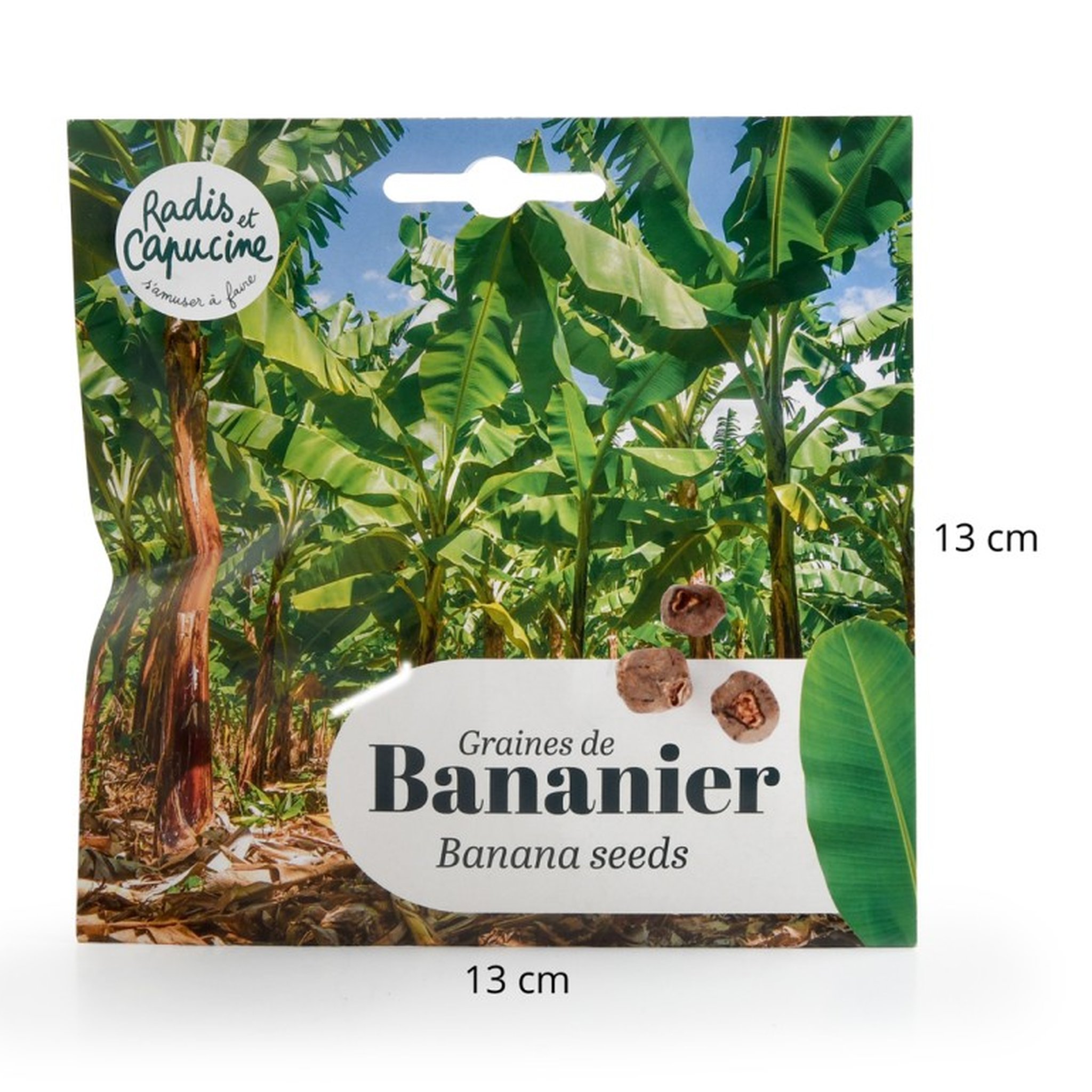 Banana tree seeds pack with 13 cm size indicator – Radis et Capucine