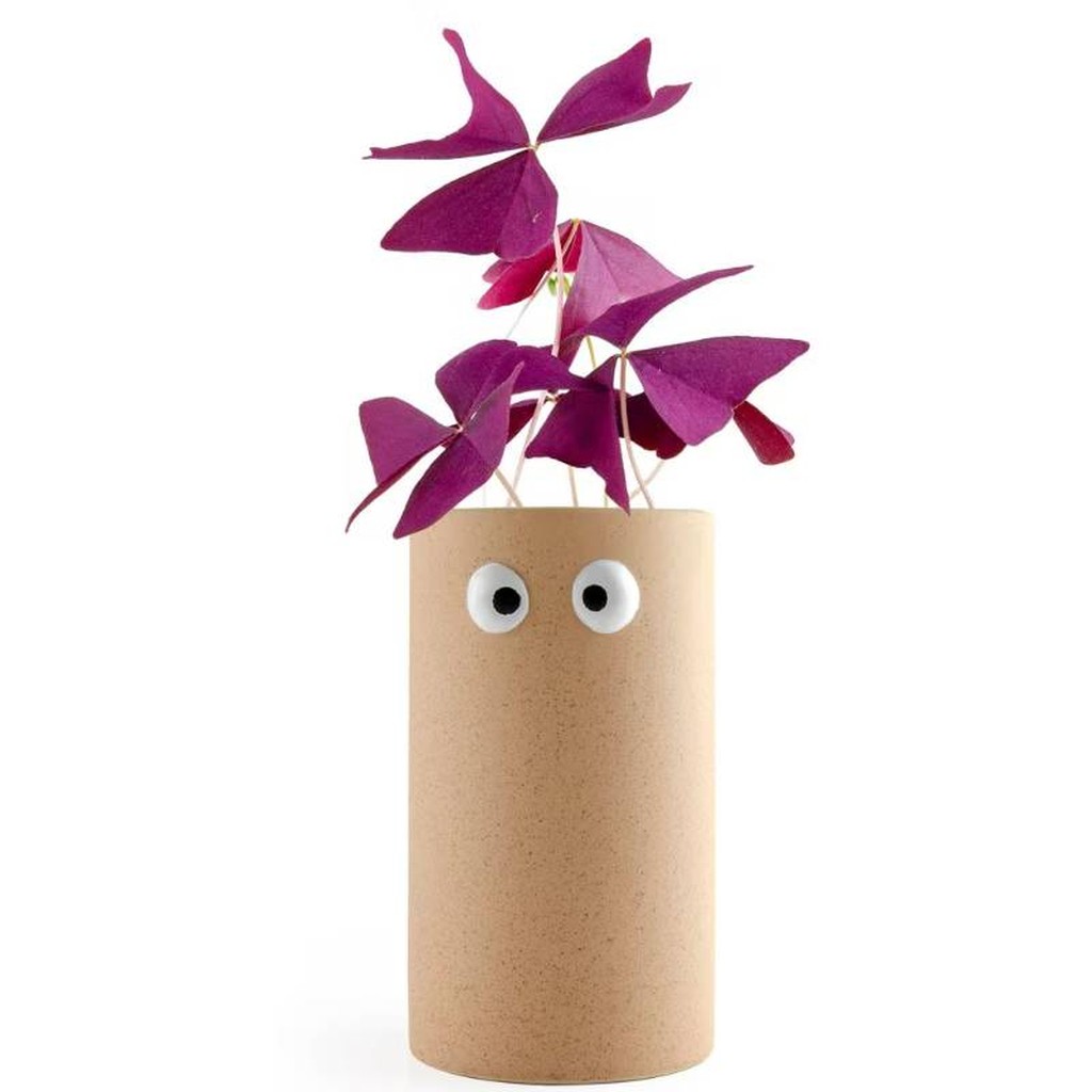 Power Girl Glücksklee Pflanzset