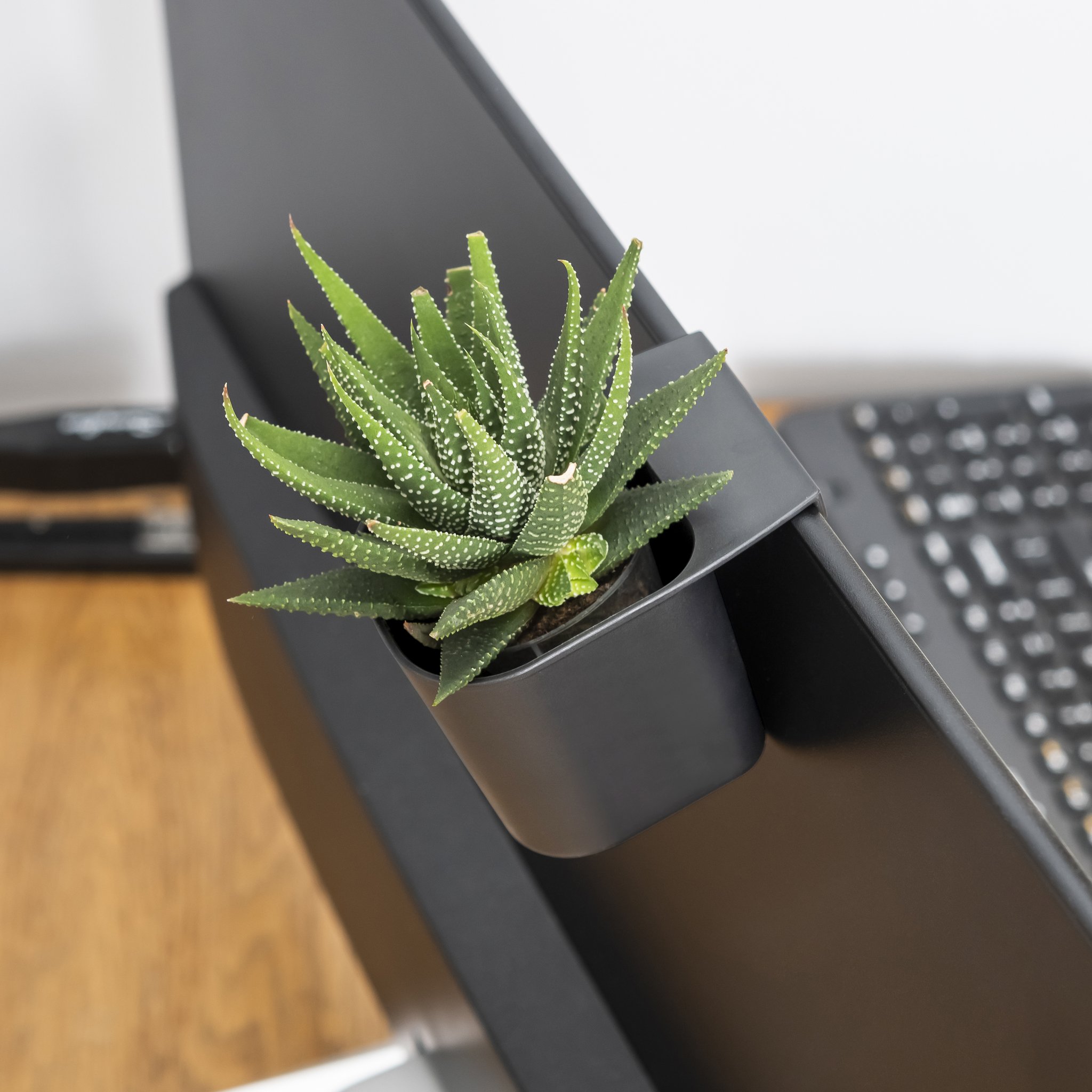 Storage pot on the monitor with a small succulent