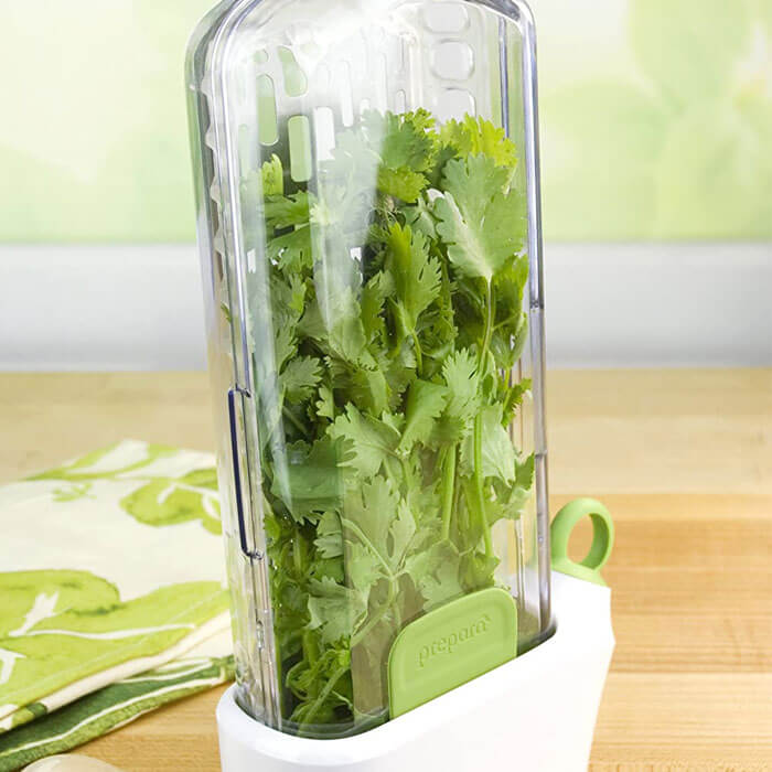 Conservateur d'Herbes Fraîches