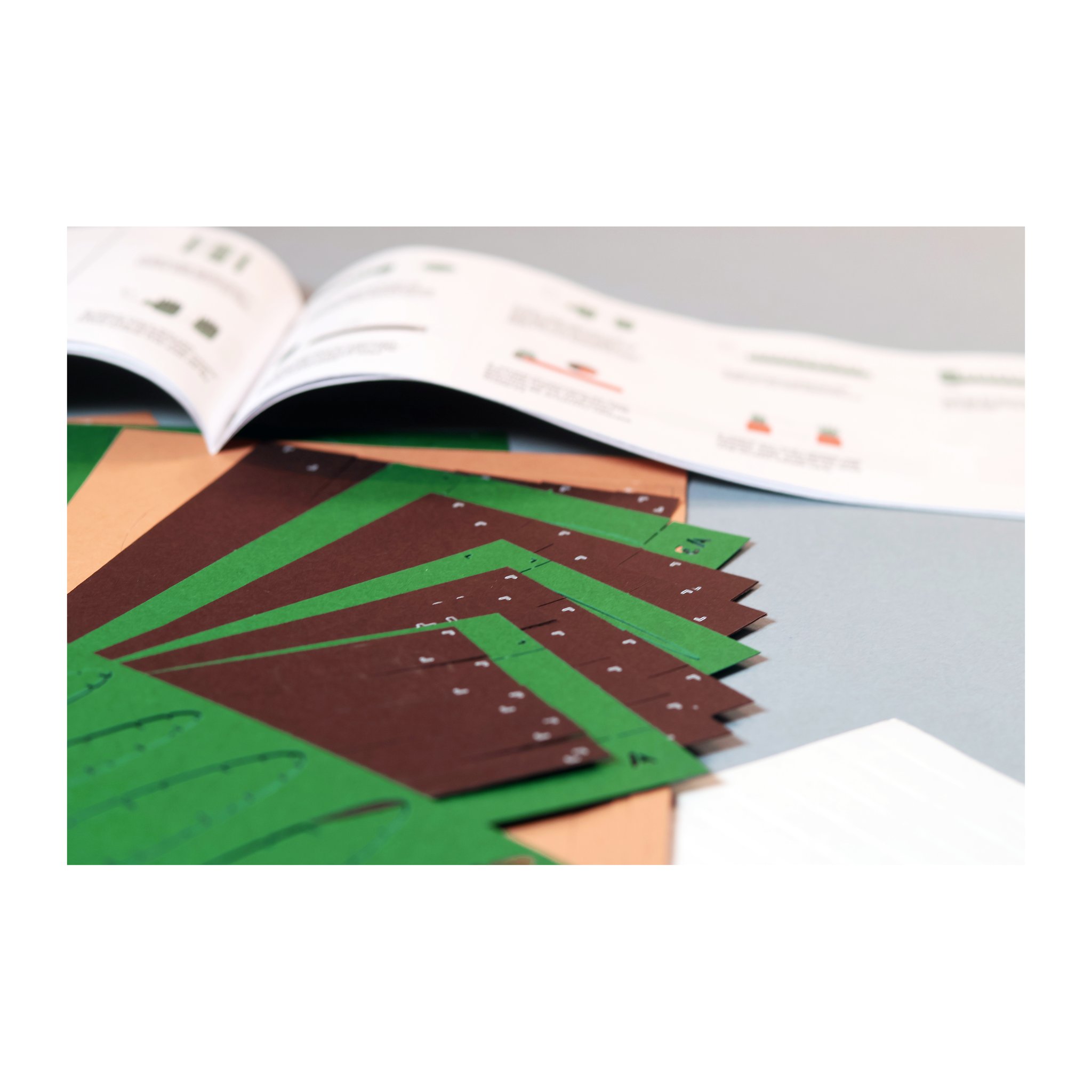 Paper Plants Origami-Set – 5 Mini-Pflanzen (Bild 6)