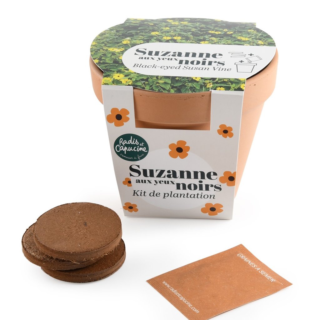 Pflanzset Schwarzäugige Susanne