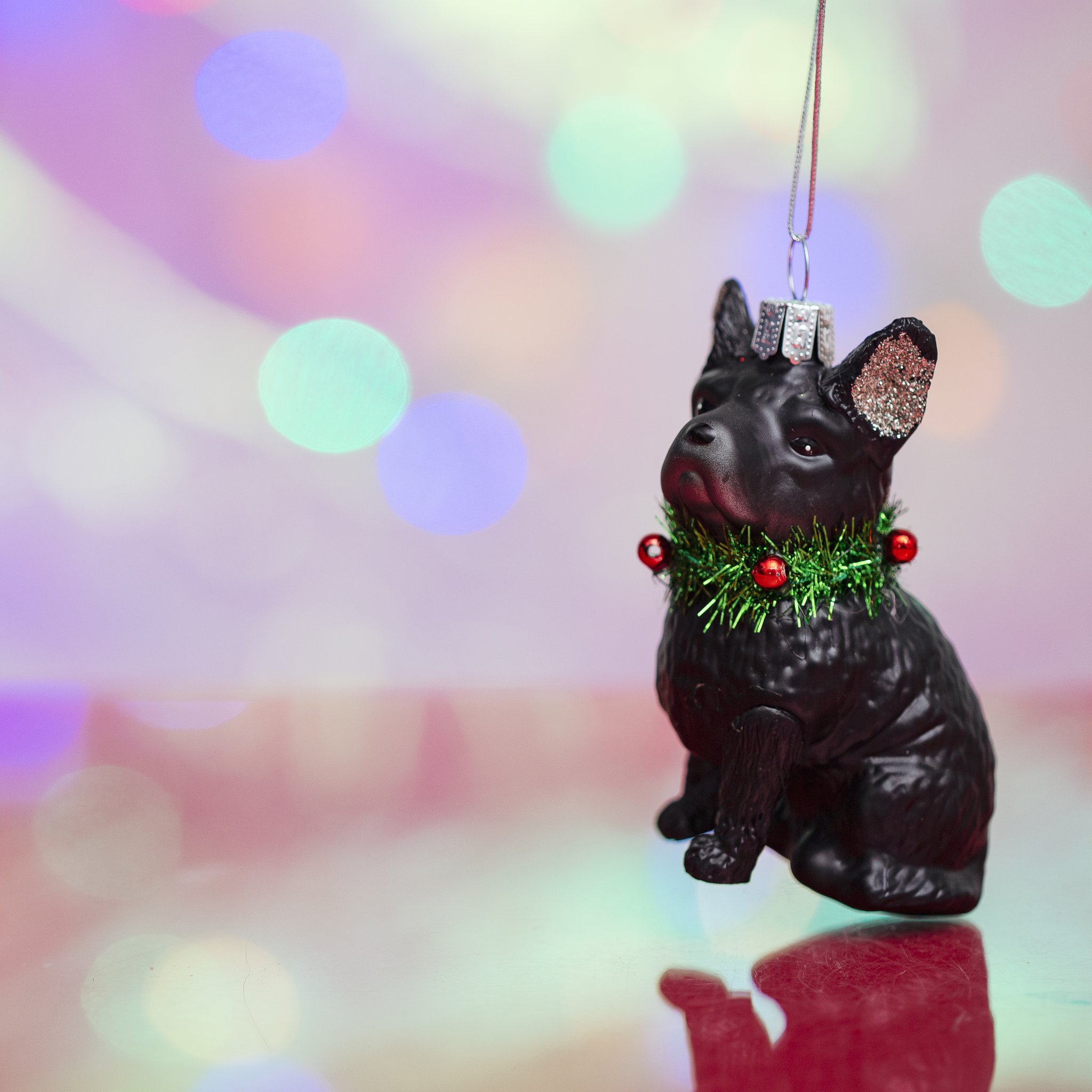 Décoration de sapin bouledogue français Sass & Belle, bouledogue noir en verre avec couronne sur bokeh