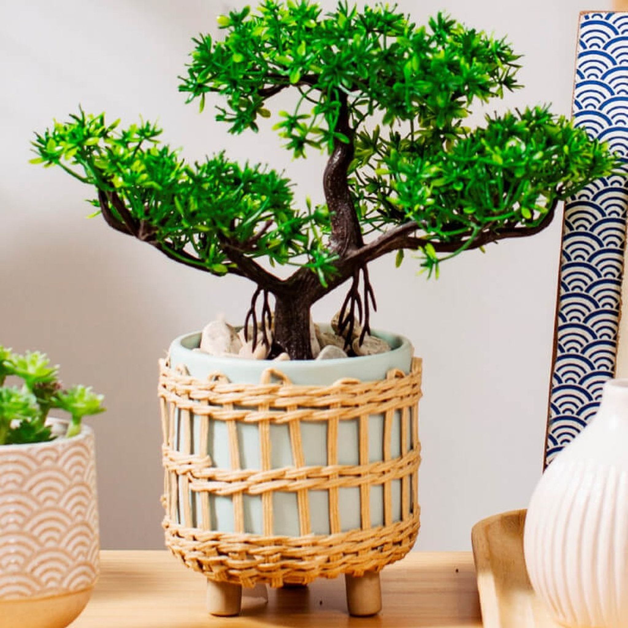 Geflochtener Blumentopf mit Bonsai, Nahaufnahme