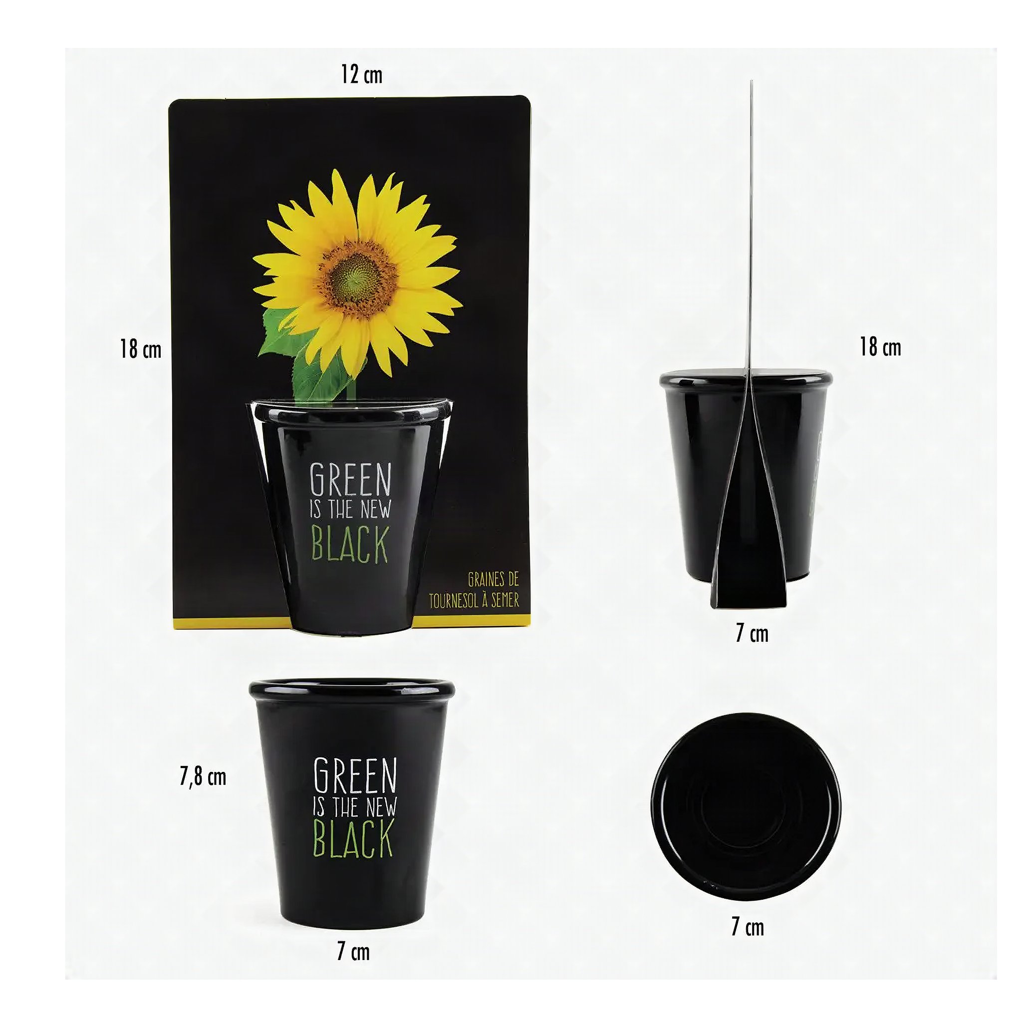 Schema delle misure della confezione e del vaso nero con altezza e larghezza