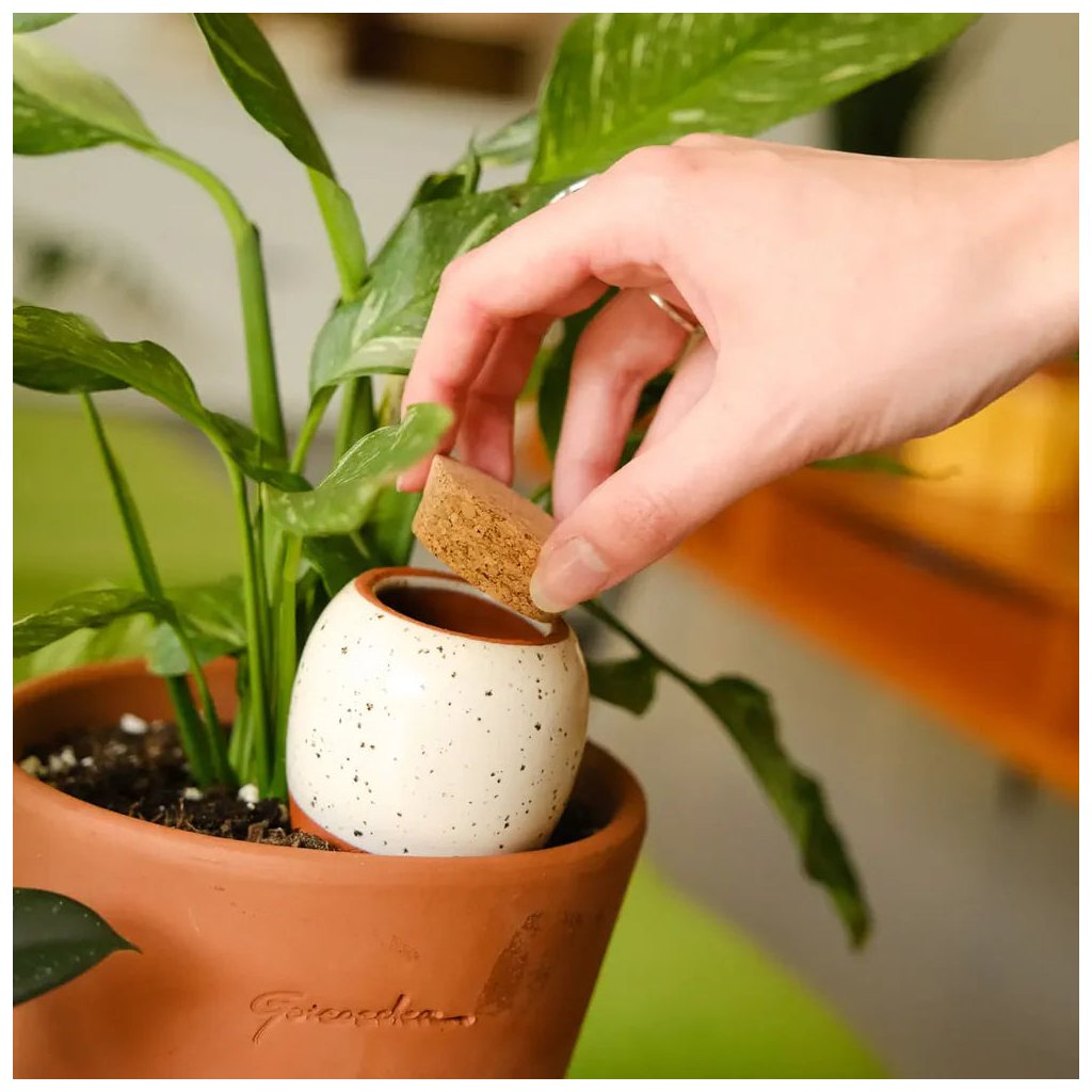 Pepin Mini Ollas 3er-Set – die Klassiker