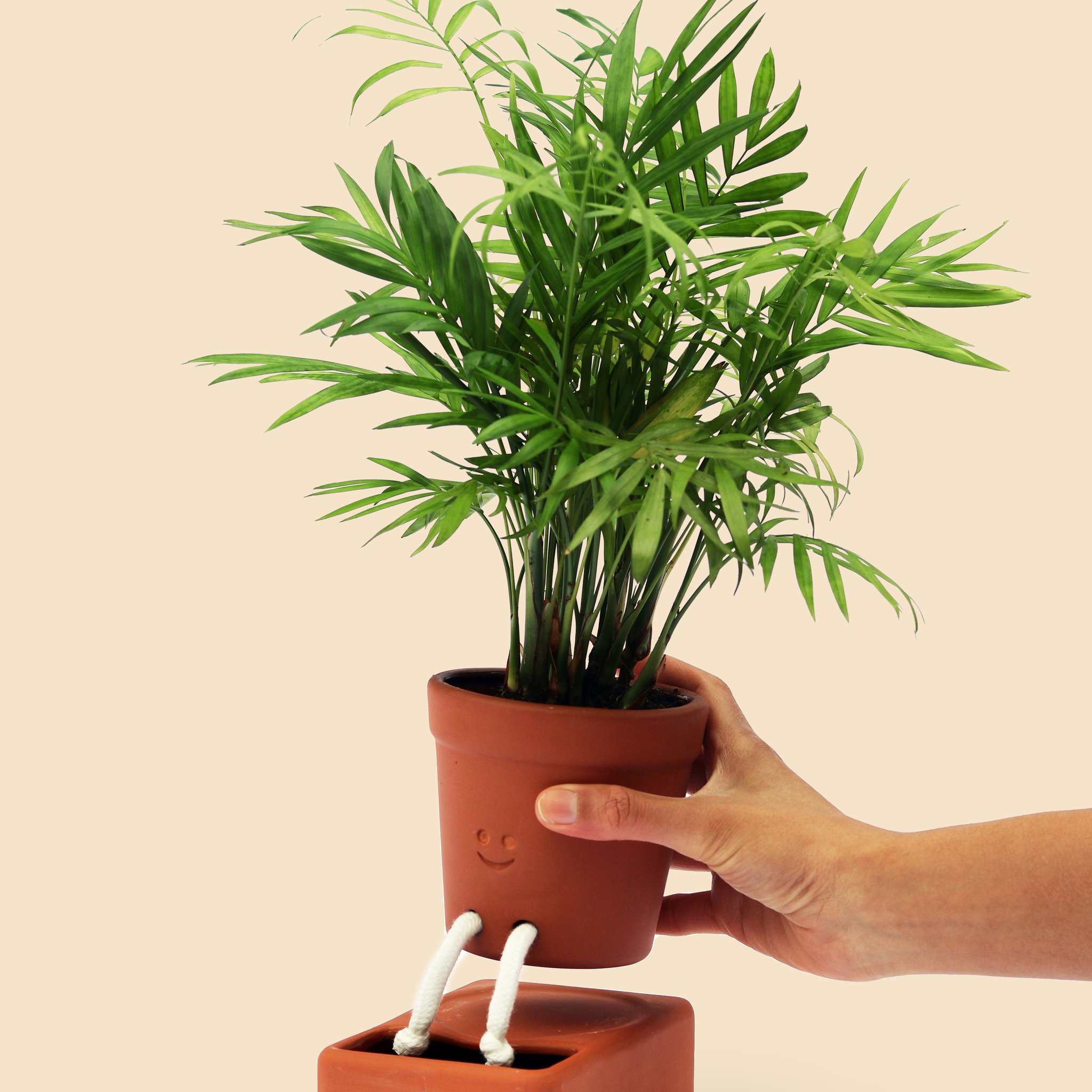 Self Care Planter – Selbstbewässernder Keramik-Pflanztopf (Bild 4)