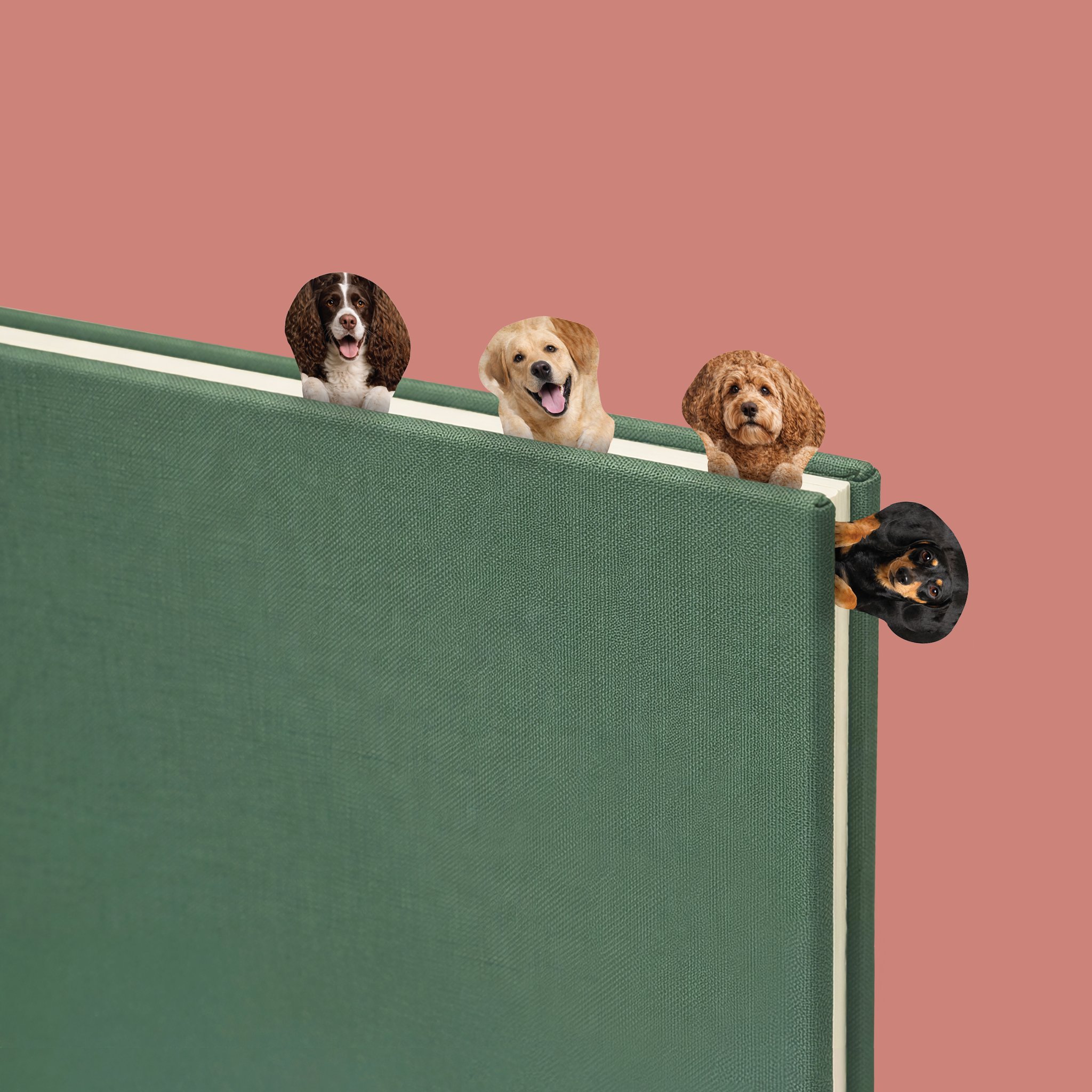 Segnapagina con cani su un libro verde, i cani sbirciano oltre il bordo