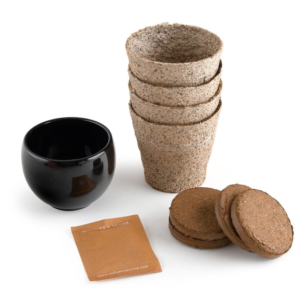 Aloe Vera Pflanz-Set