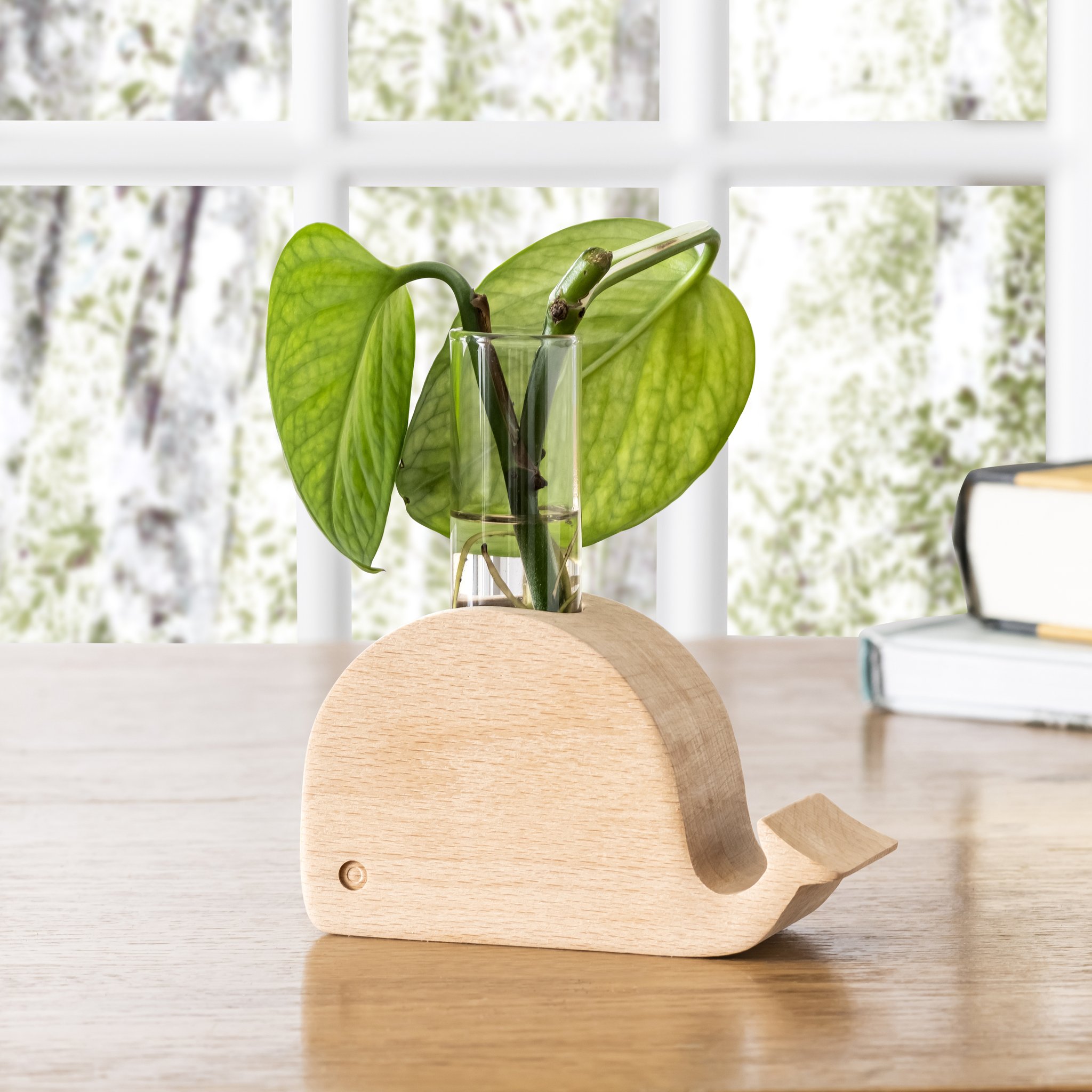 Vaso balena in legno con provetta e talea alla finestra