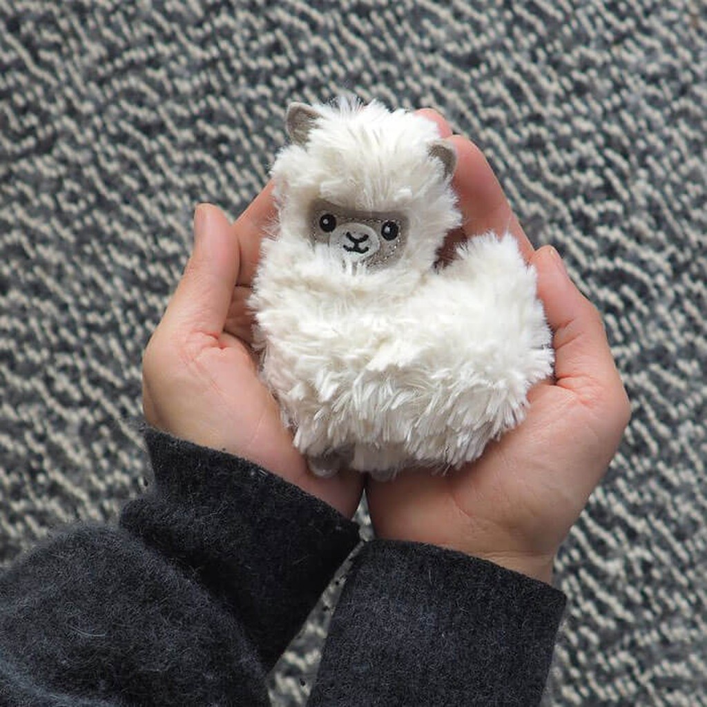 Pocket Pal LLama von Bitten