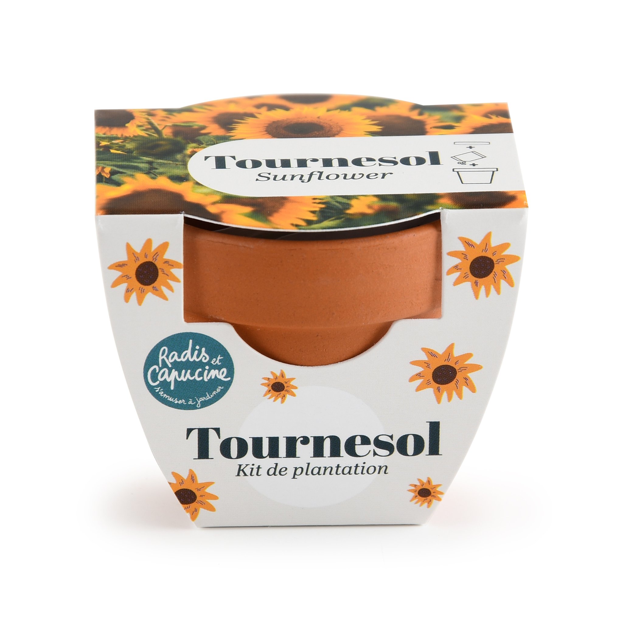Mini Kit Girasole – Vaso in terracotta con semi