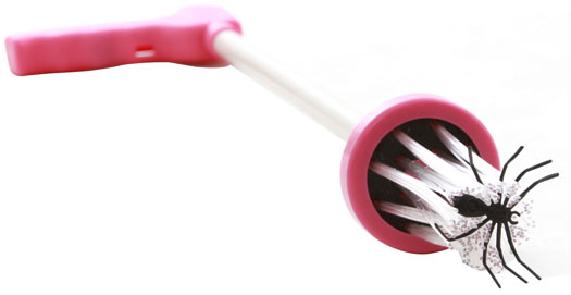 Spinnenfänger Spider Catcher