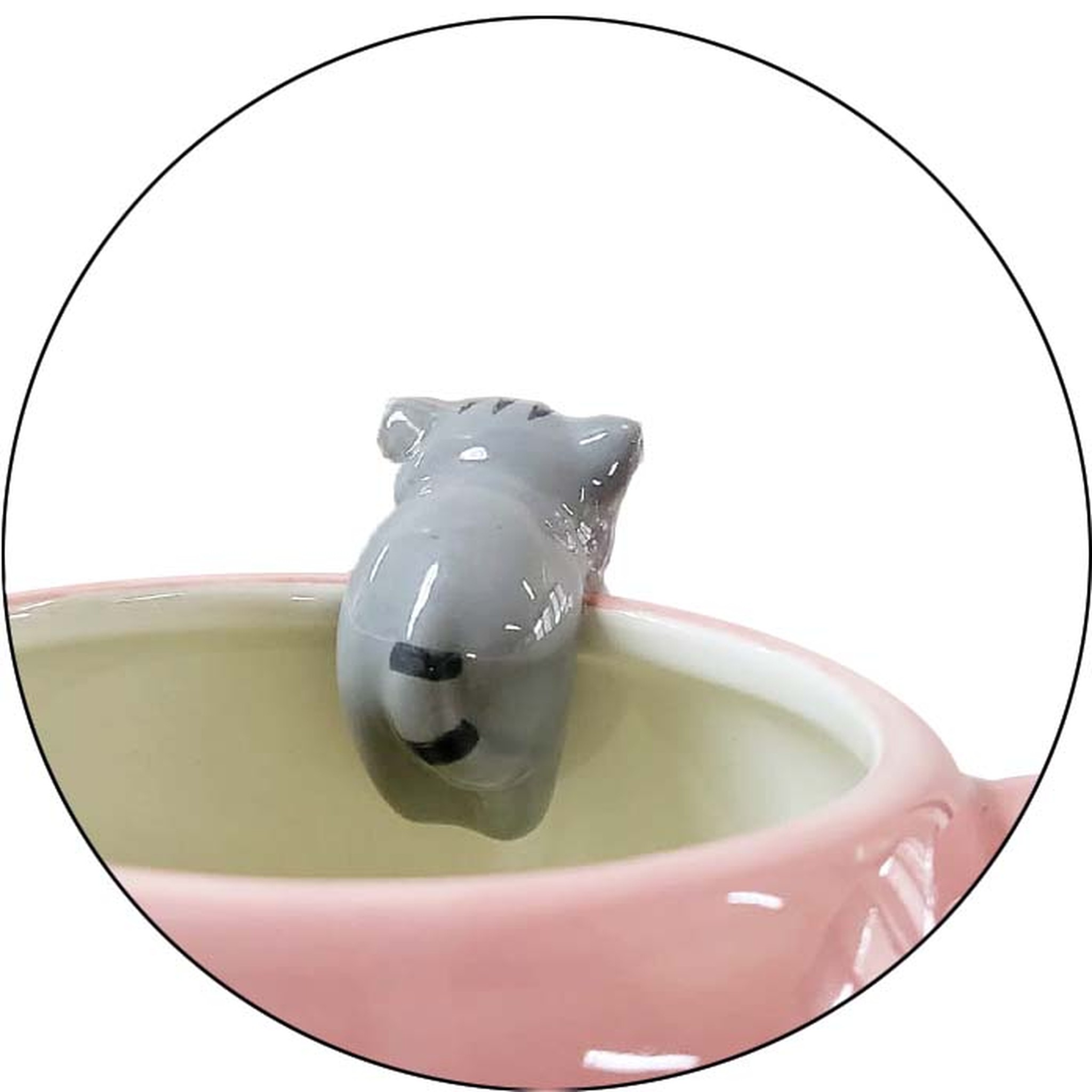 Tasse Chaton Paresseux vue détaillée – chaton regardant dans la tasse d'en haut