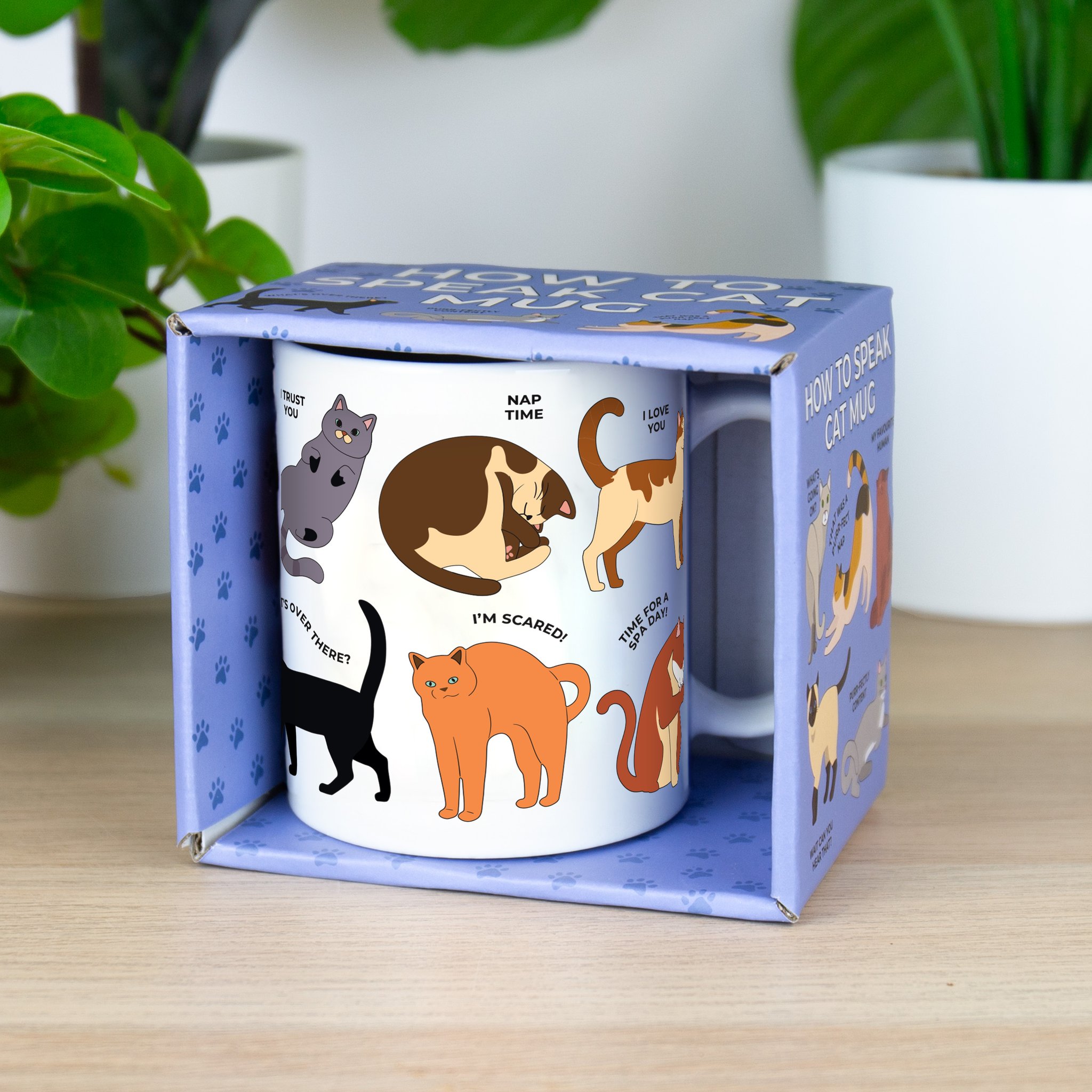 Katzensprache-Tasse in der geöffneten Geschenkbox auf einem Tisch