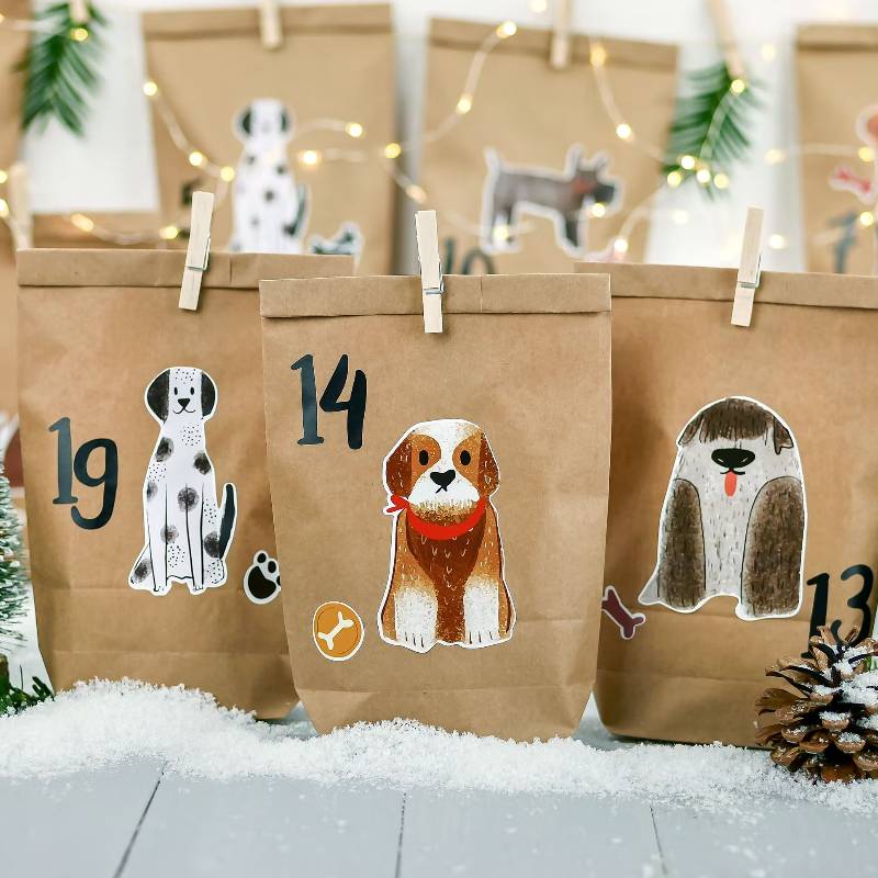 Hunde-Adventskalender