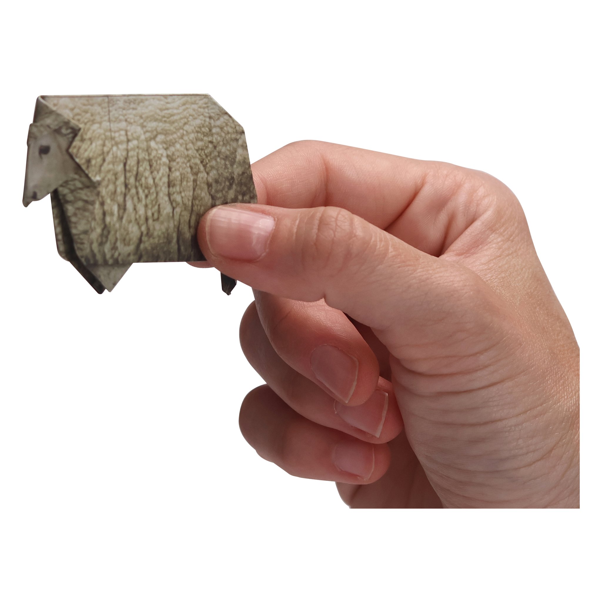Paper Sheep origami set – folded sheep in hand