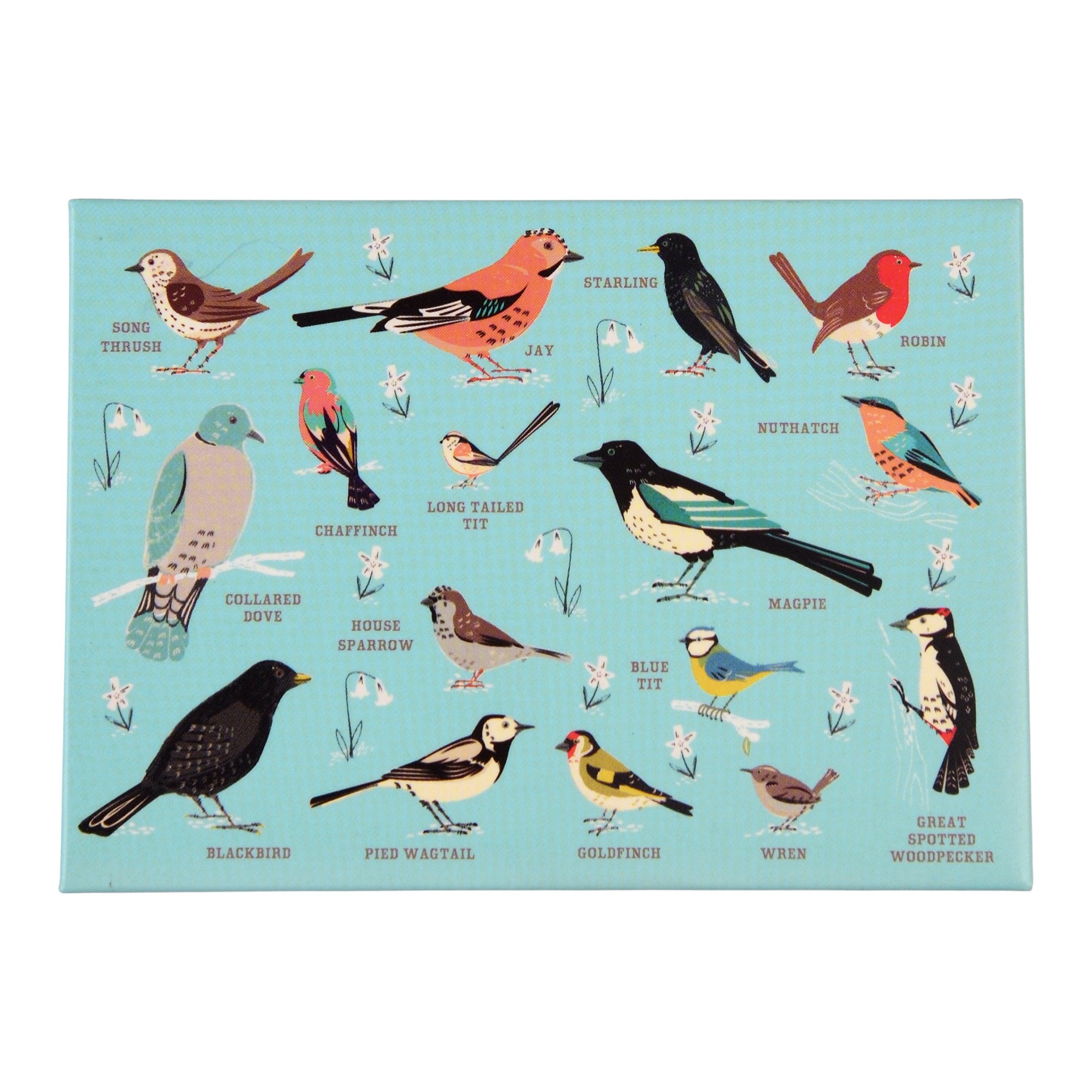 Der Gartenvögel Magnet mit Rotkehlchen, Blaumeise, Elster und Buchfink, freigestellt