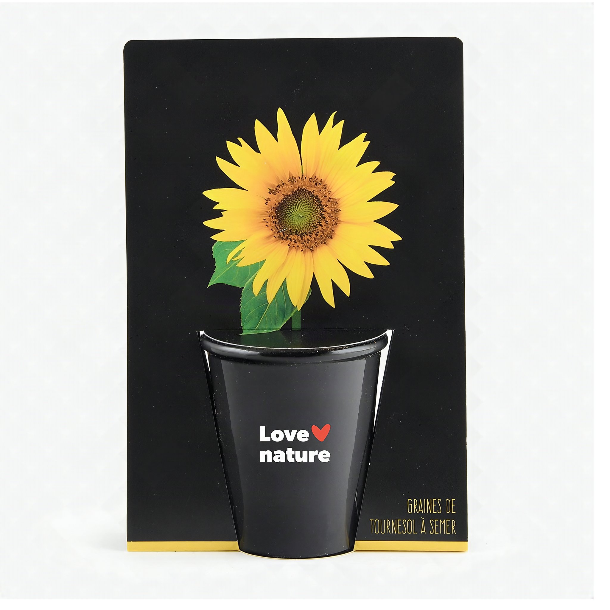 Kit di coltivazione girasole nella confezione con motivo girasole e vaso nero «Love nature»