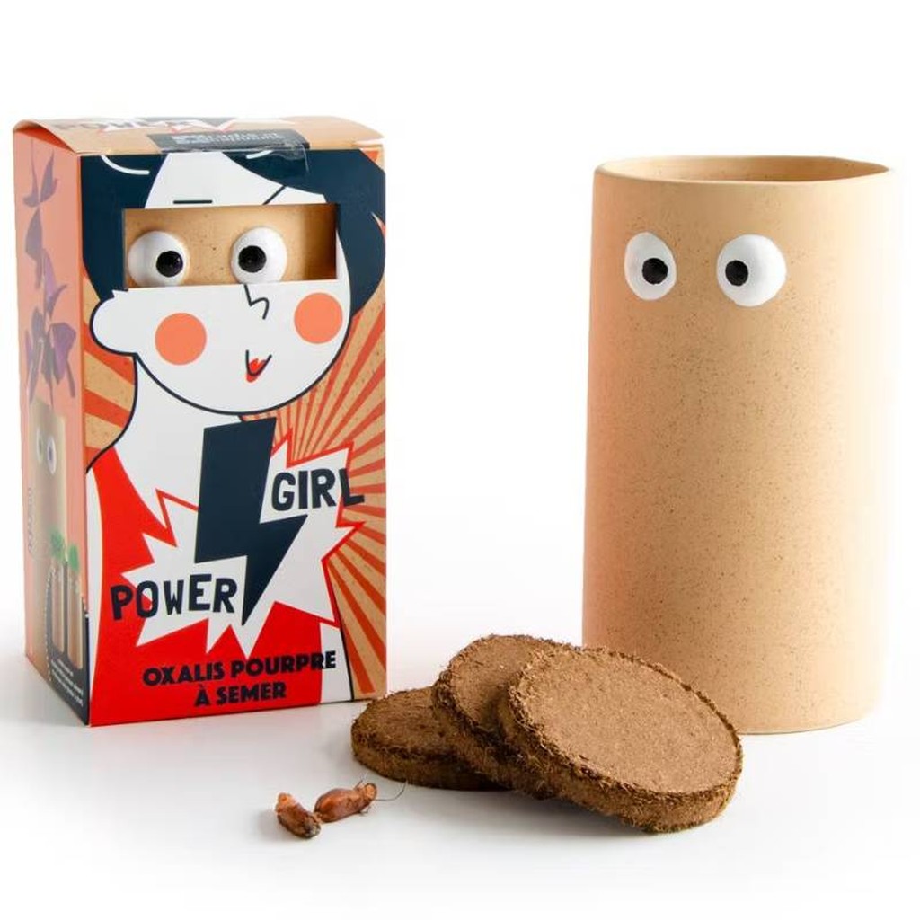 Power Girl Glücksklee Pflanzset