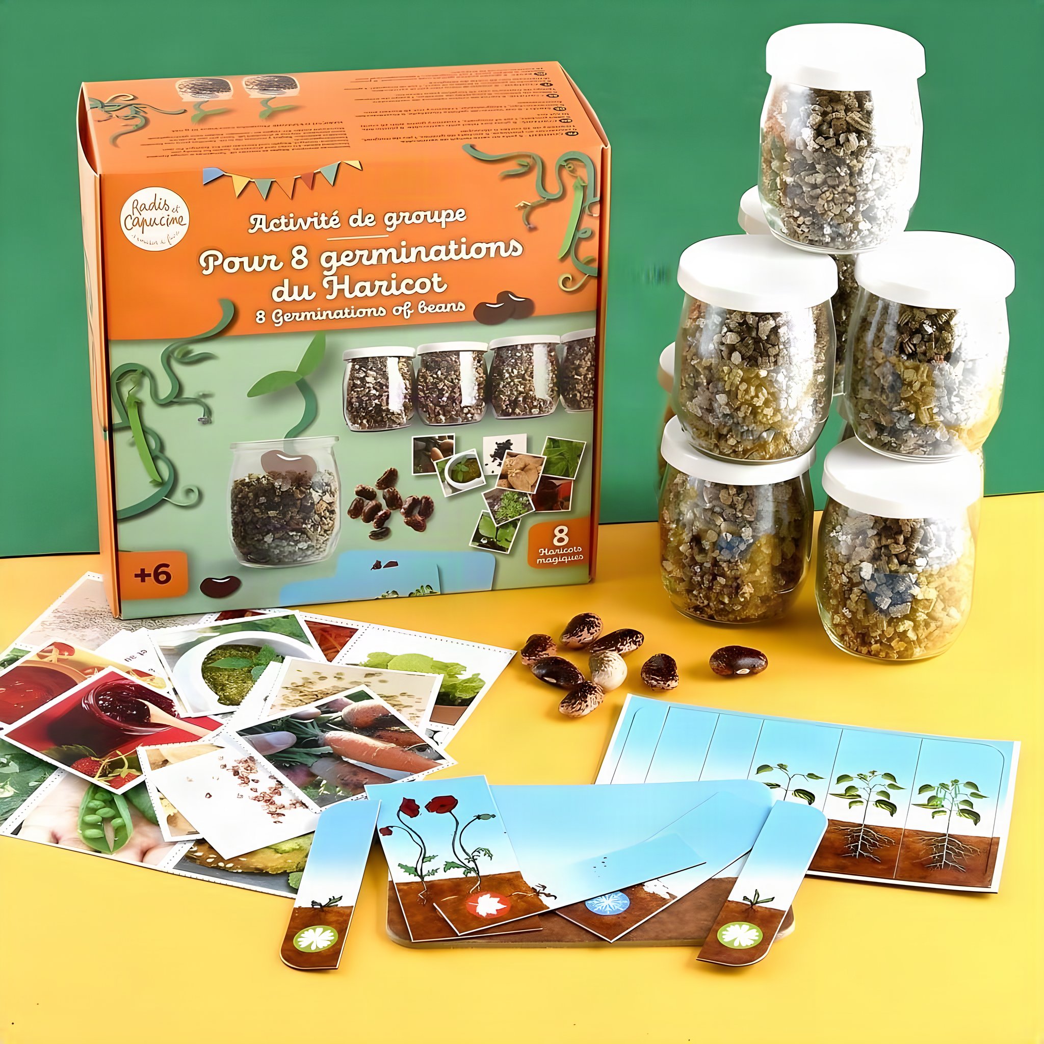 Kit per la germinazione dei fagioli