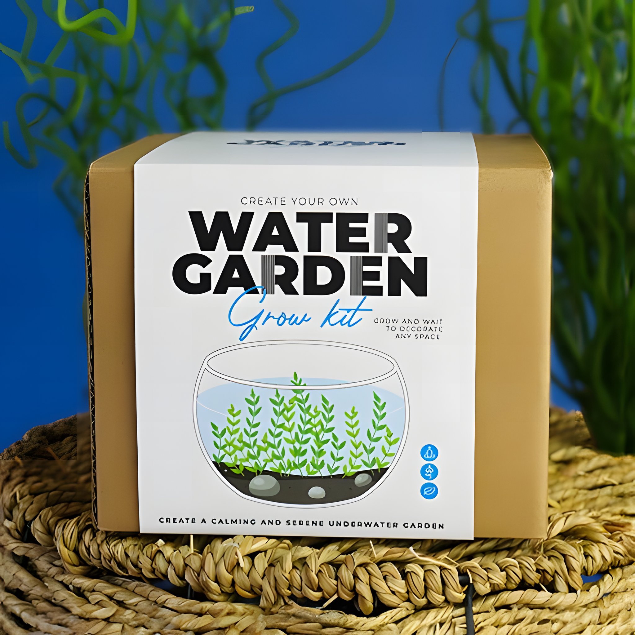 Water Garden Grow Kit glass bowl with aquatic plants