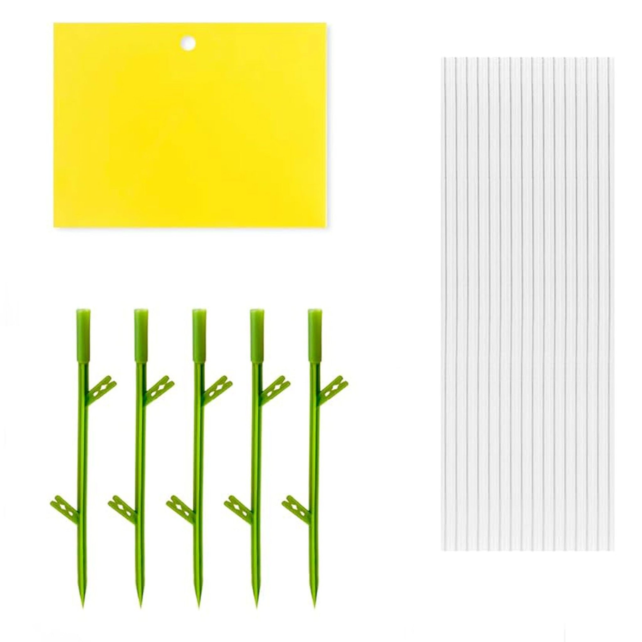 Sticka Bug 40er-Pack Verpackung von Katcha