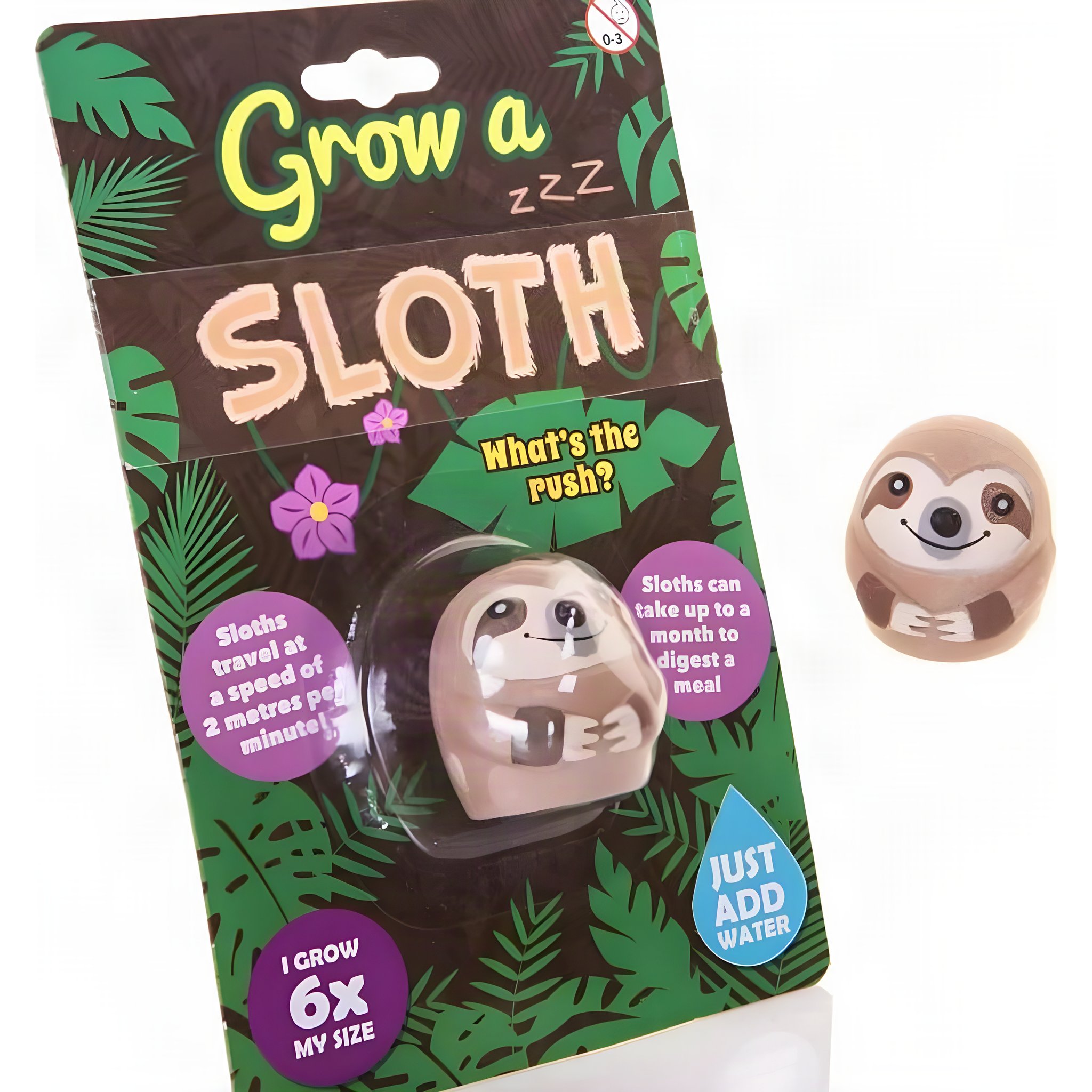 Grow a Sloth Toy
