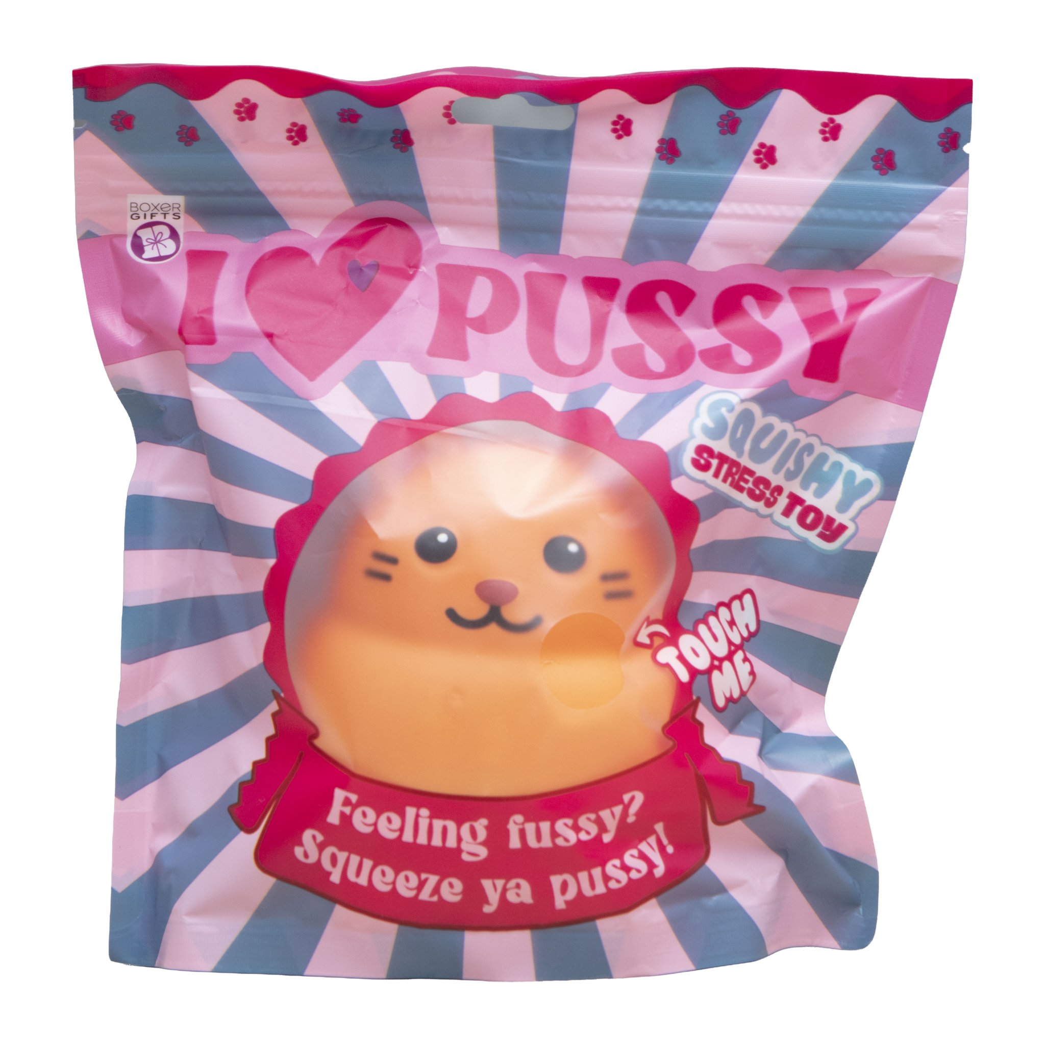 Emballage du squishy chat I Love Pussy : sachet imprimé rose et bleu avec motif de chat