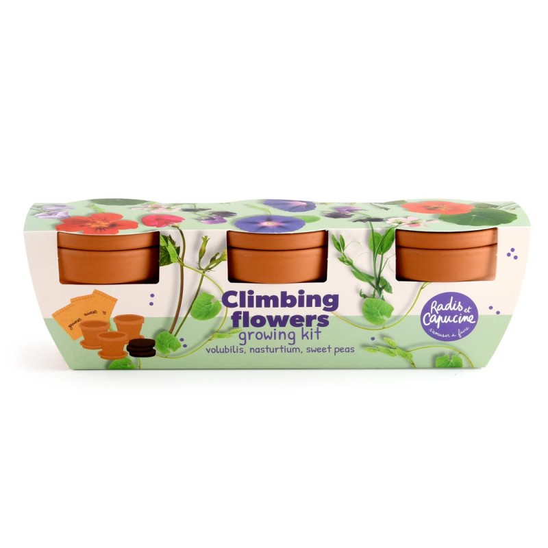 Kletterpflanzen Anzuchtset Trio