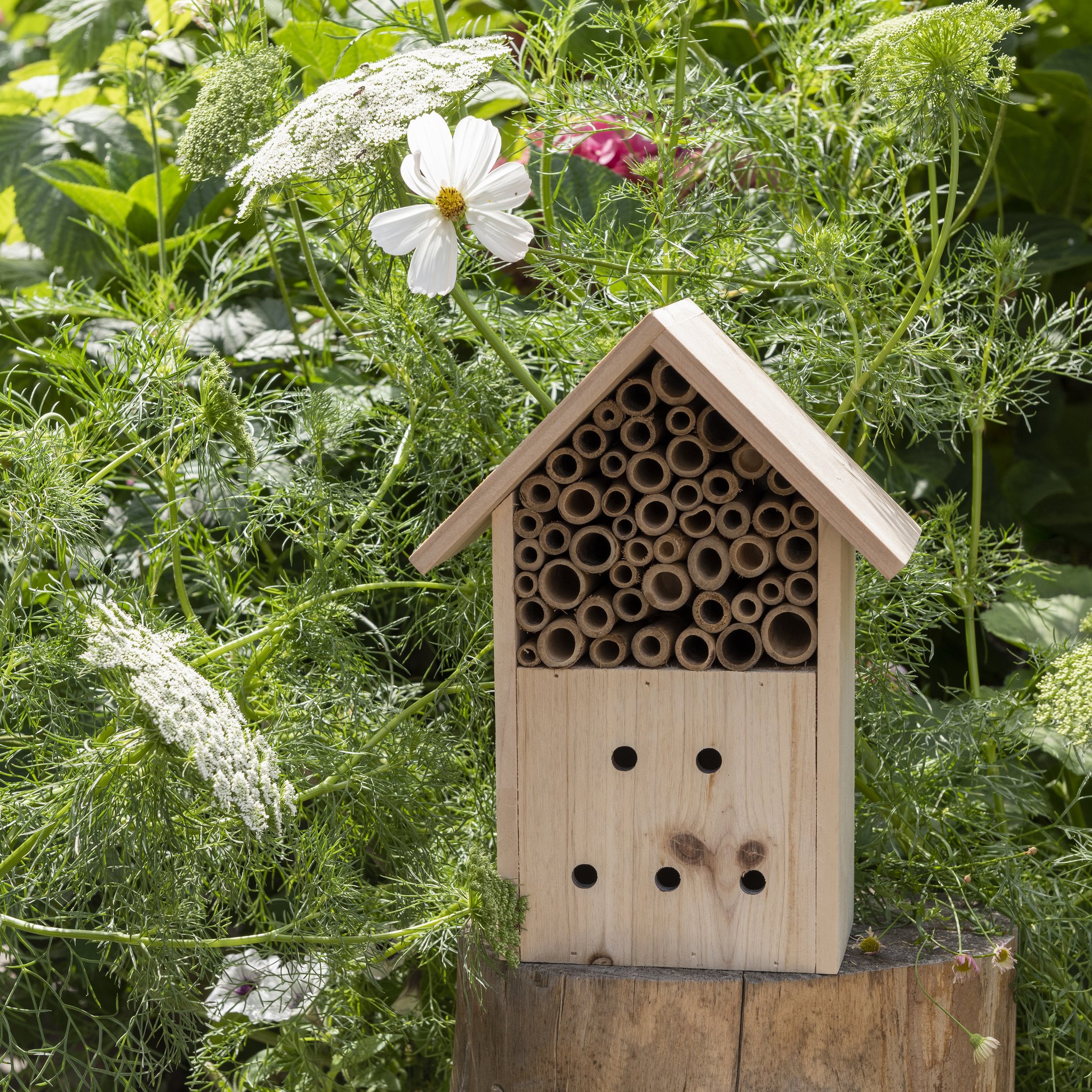 Wooden insect hotel on a tree stump among wild flowers in the garden