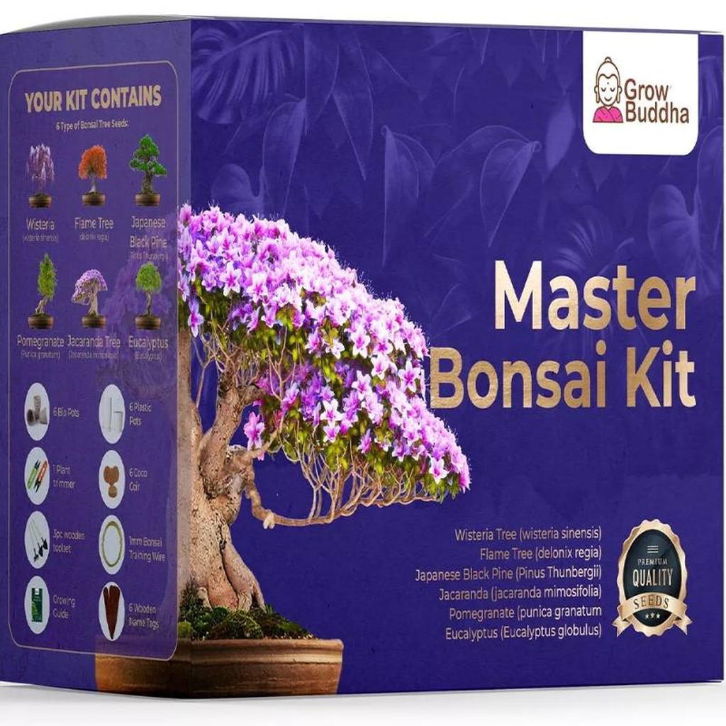 Master Bonsai Plfanzsset von Grow Buddha