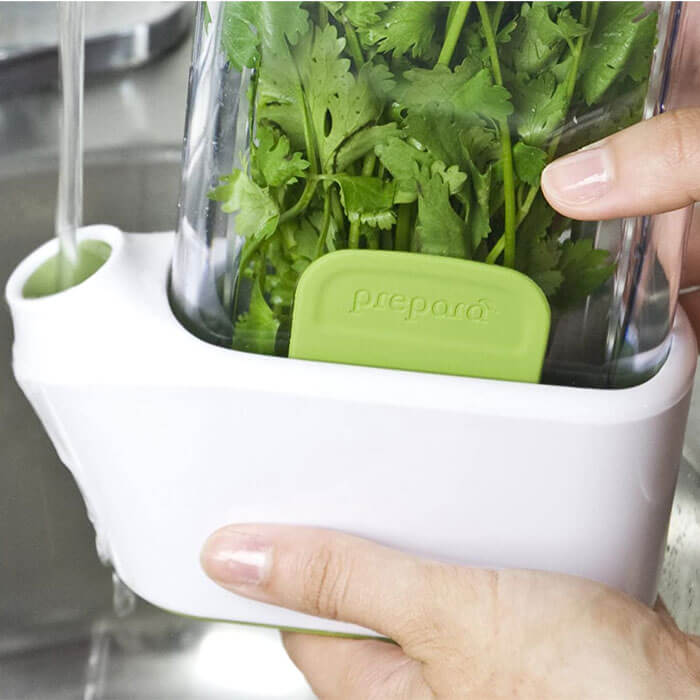 Conservateur d'Herbes Fraîches