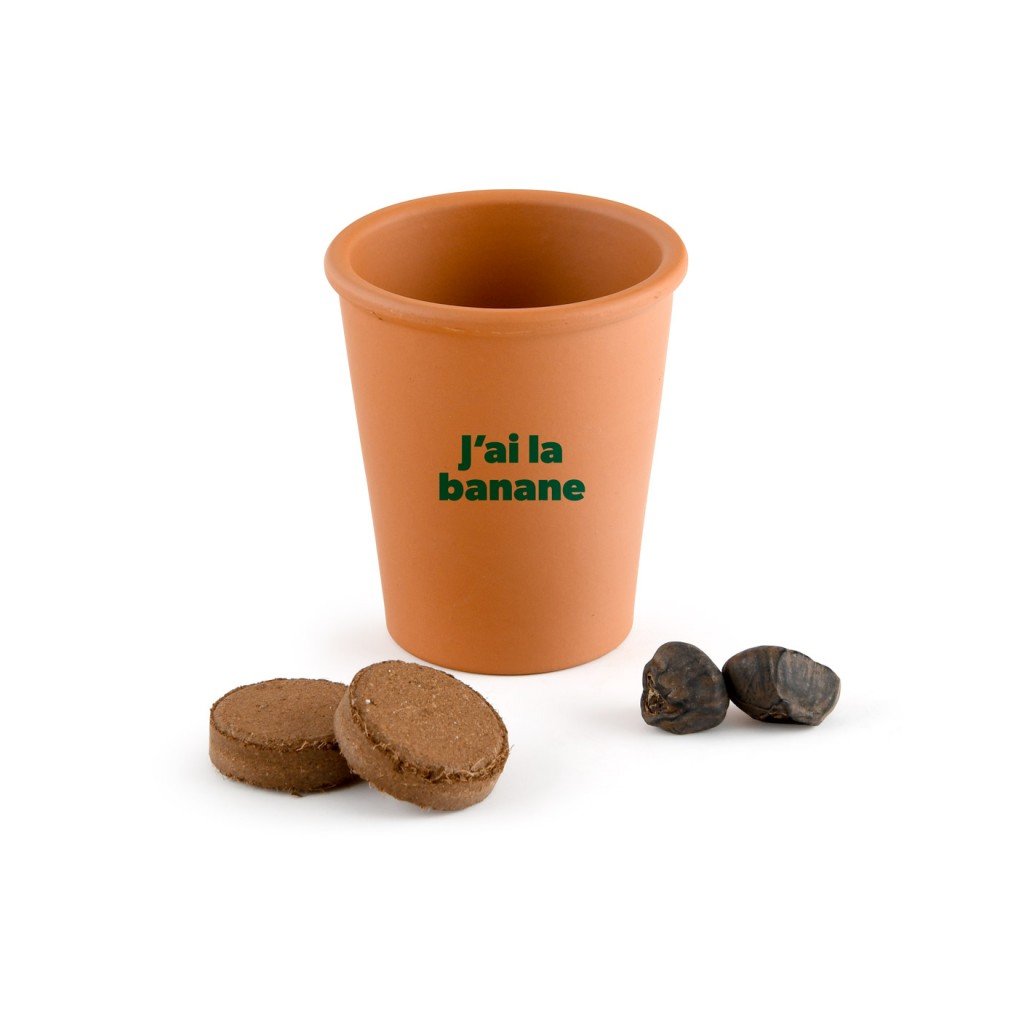 Bananenbaum Anzuchtset "Ich hab gut lachen"