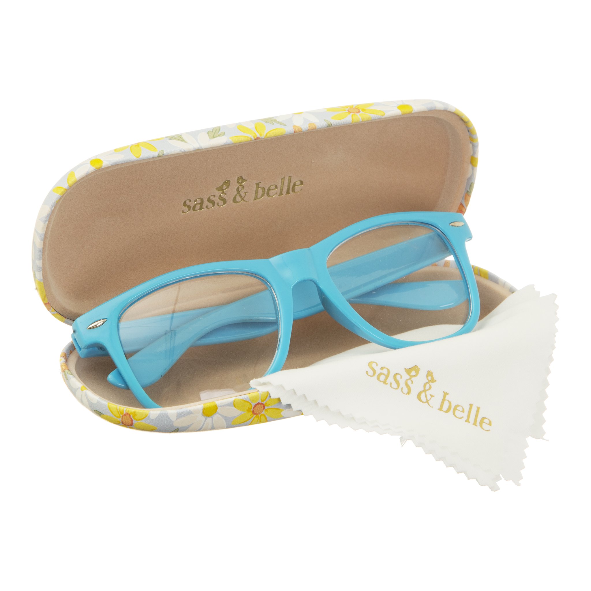 Daisy glasses case opened with blue glasses and cleaning cloth, cut-out