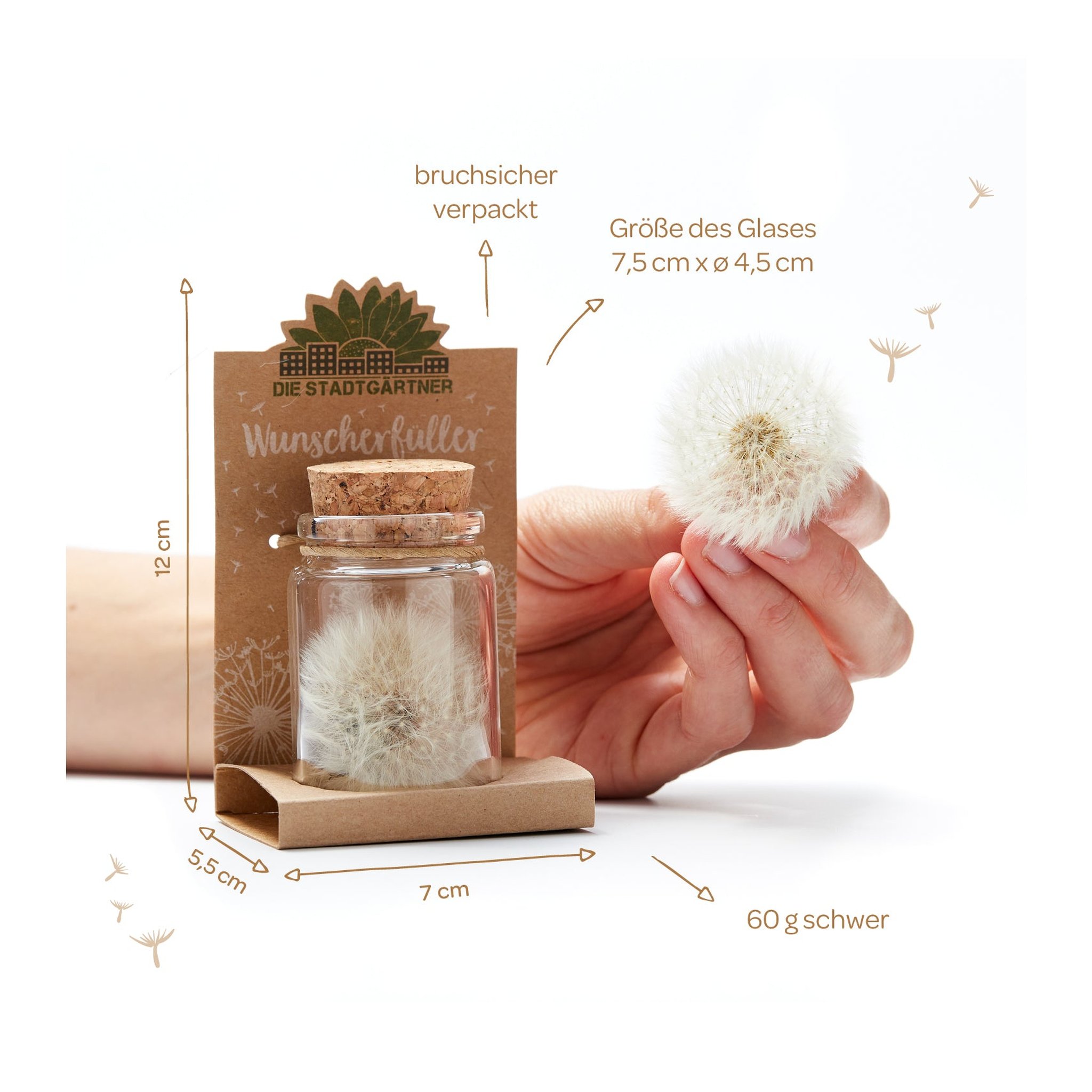Wunscherfüller mit Angaben zu Glasgrösse, Höhe und Sockel, daneben eine Hand mit Pusteblume